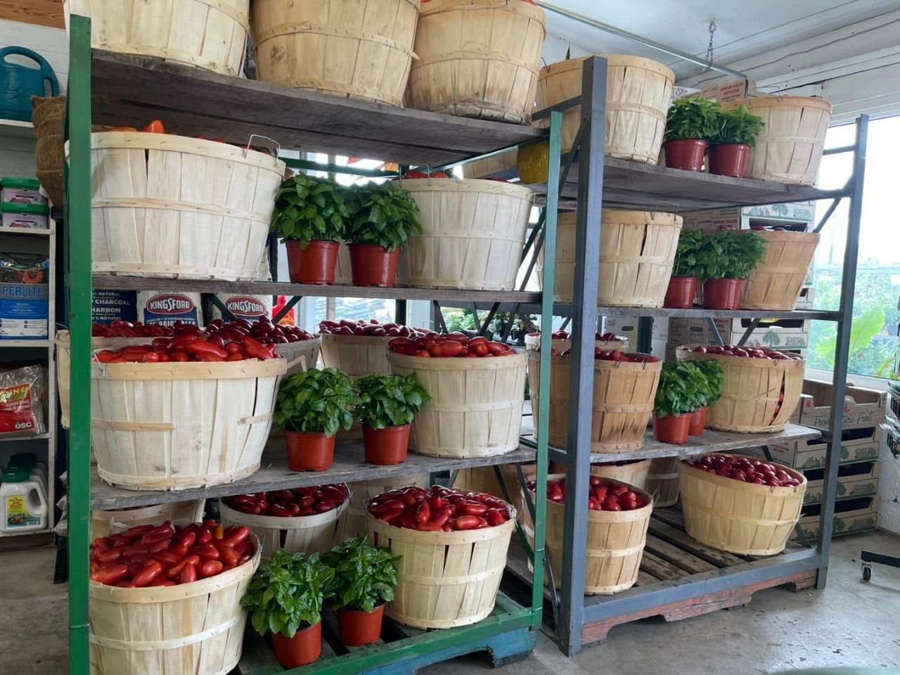 Premium San Marzano tomatoes at Orchard Fruit Market in Severn Ontario