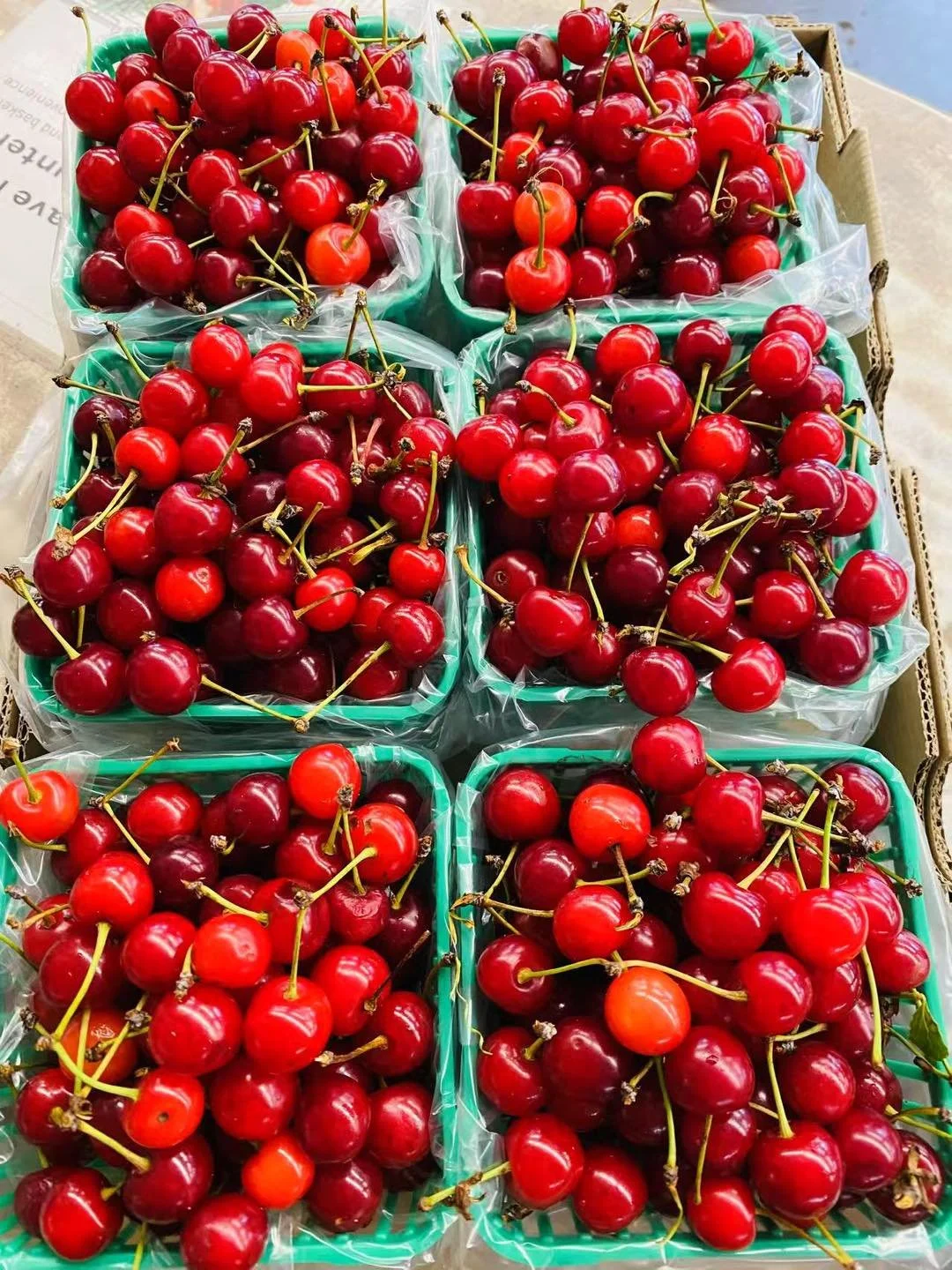 Ontario Sour Cherries