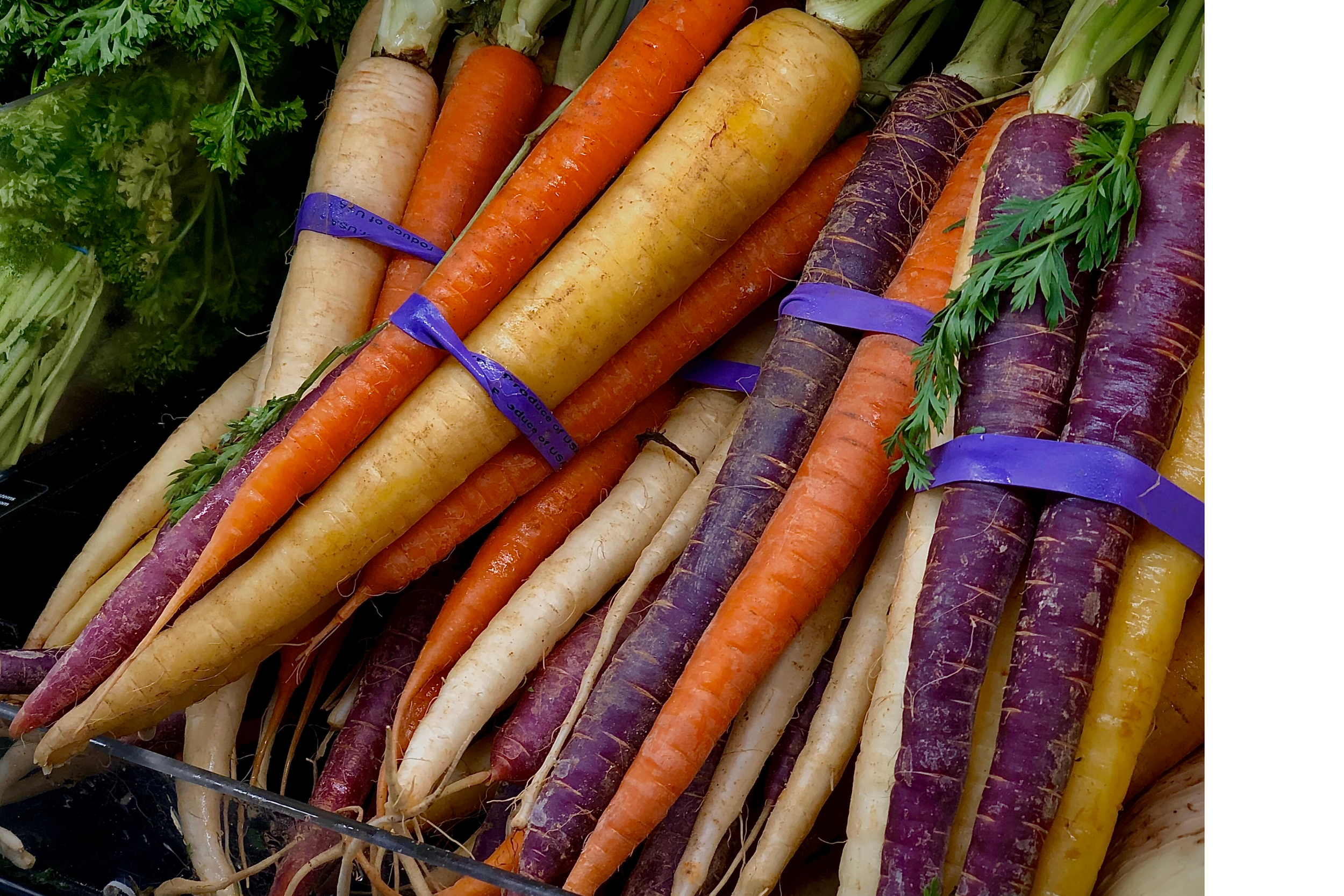 Ontario Carrots