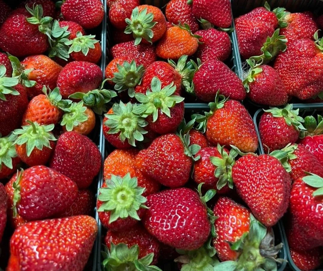 Ontario Strawberries