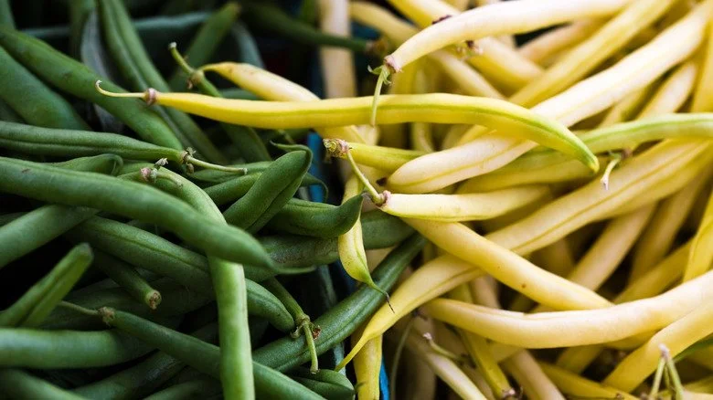 Ontario Beans