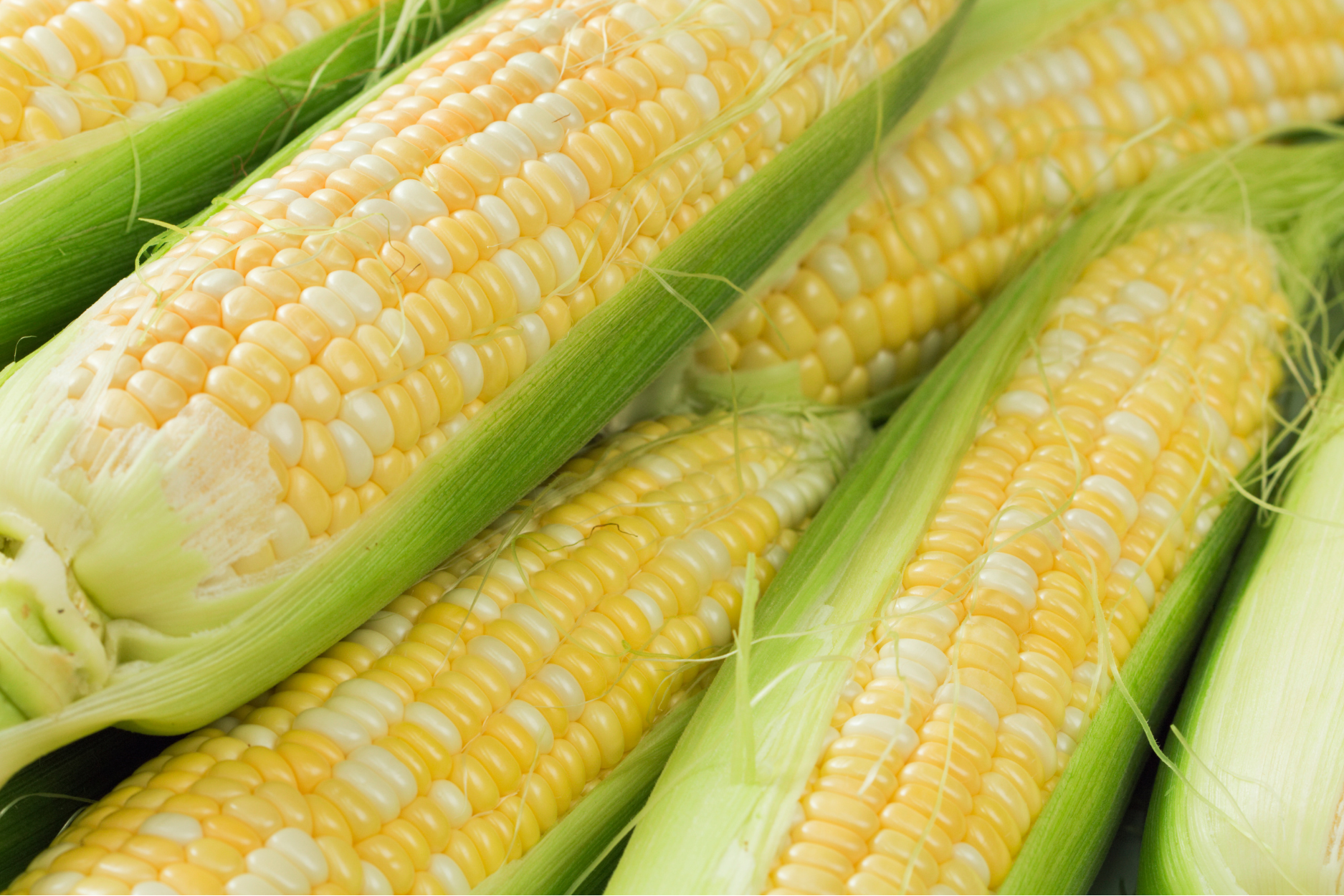 Ontario Sweet Corn