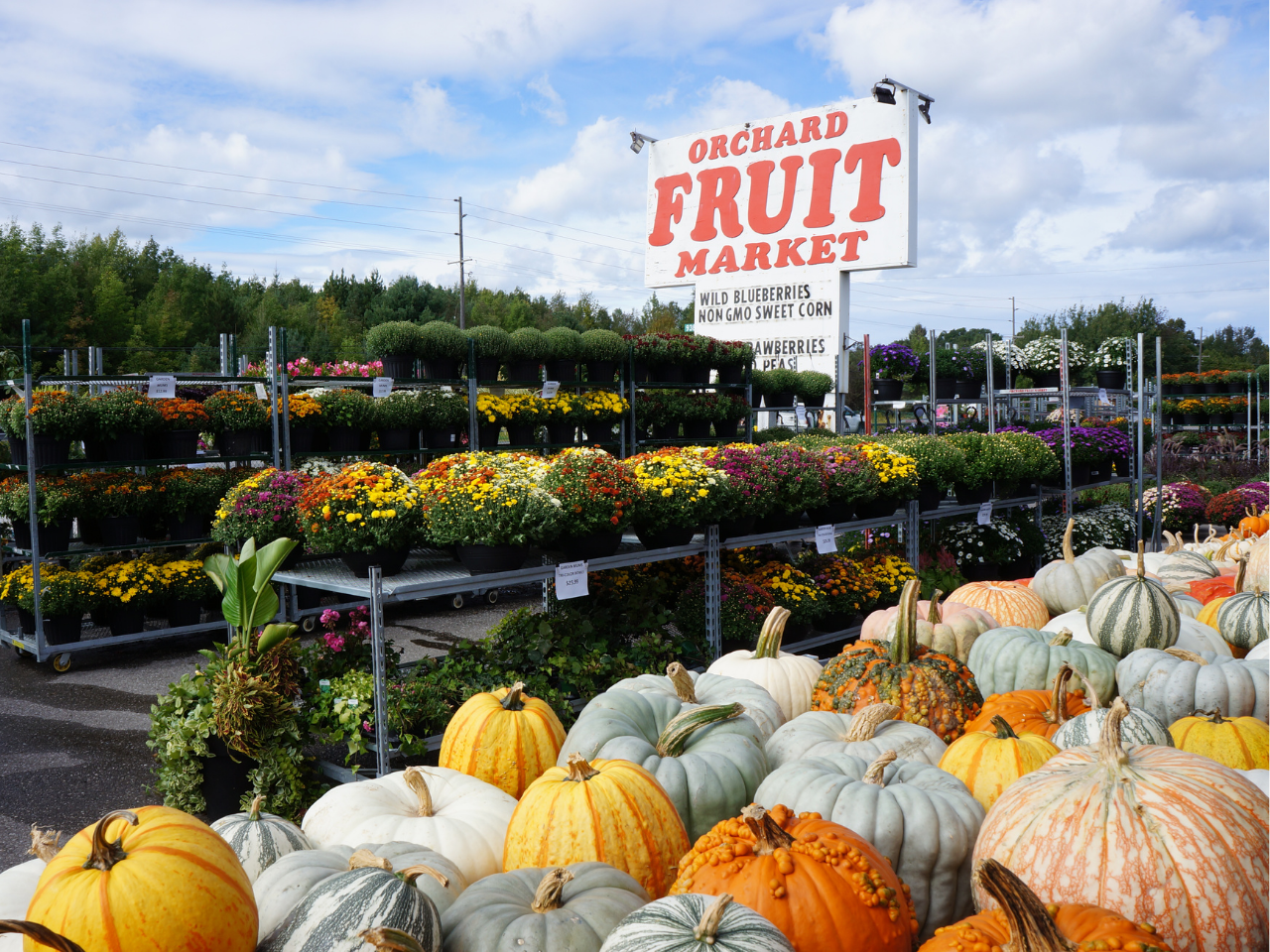 From Frost To Fresh Blooms What s Coming Next At Orchard Fruit Market 