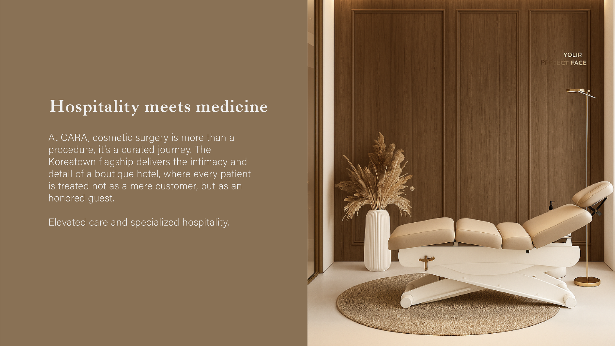 CARA Brand Polish-03.png