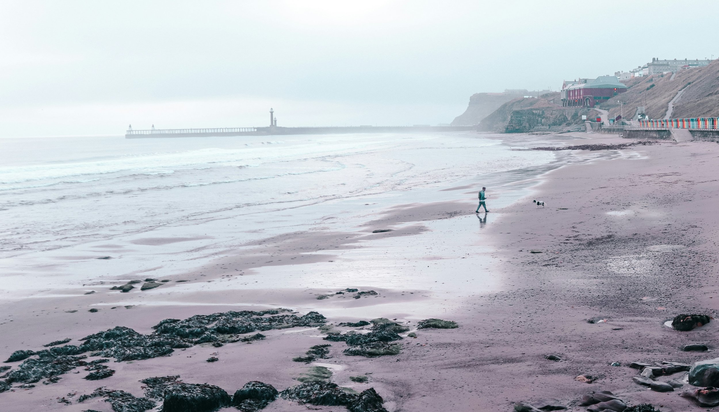 Coastal scene with a person walking a dog on a beach, with a distant pier and lighthouse, surrounded by cliffs and buildings in the background.