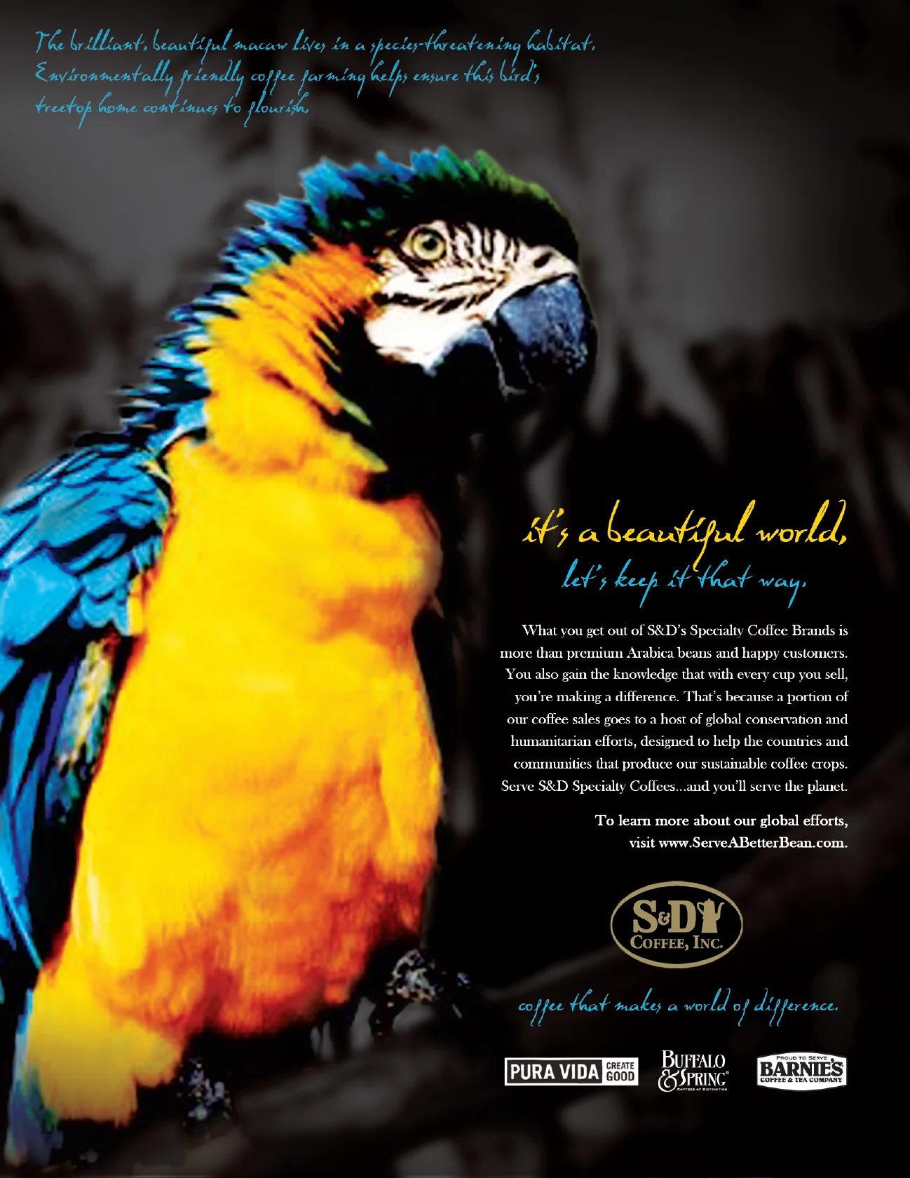 Colorful macaw with an environmental message promoting sustainable coffee farming with S&D Coffee, Inc. Includes text about conservation efforts and partnerships.