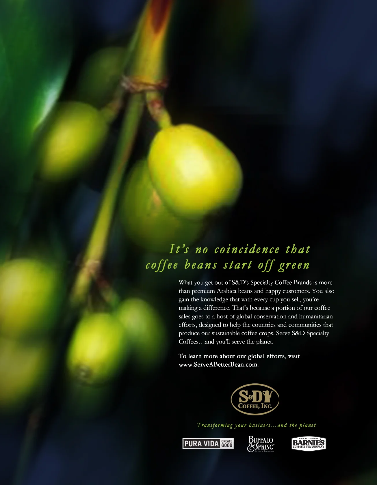 Green coffee cherries on a branch with S&D Coffee Inc. advertisement text highlighting sustainability efforts and global conservation initiatives.