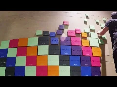 Pixel Wall Installation, Frango (Copy)