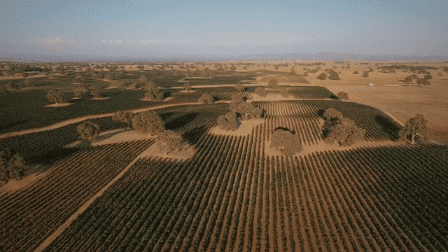Professional Video and Drone Services in Northwest Indiana, chicago, and the entire US