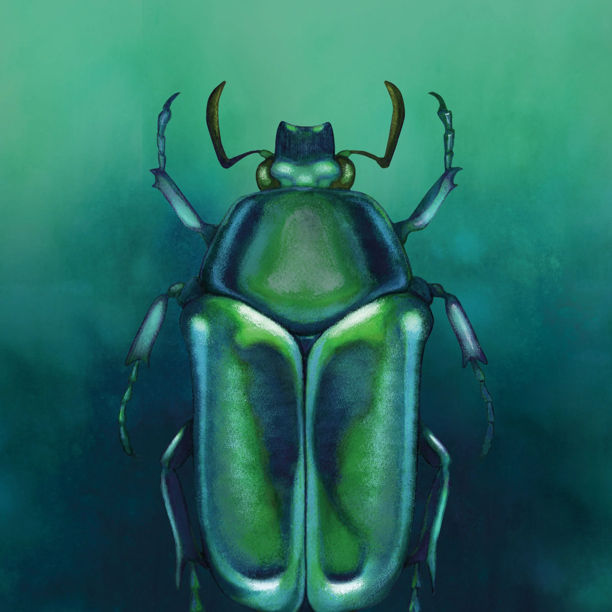 French Fox Design: Modern Moghul Scarab Beetle Illustration
