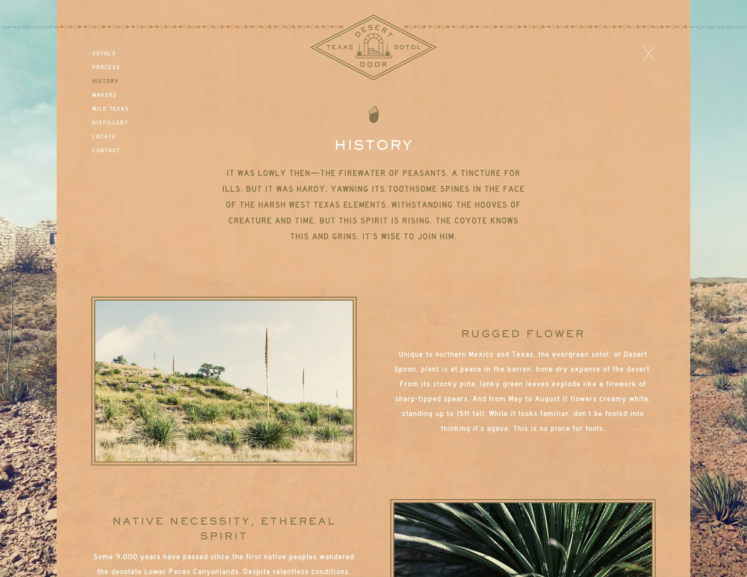 French Fox Design: Desert Door Texas Sotol, History Website Page