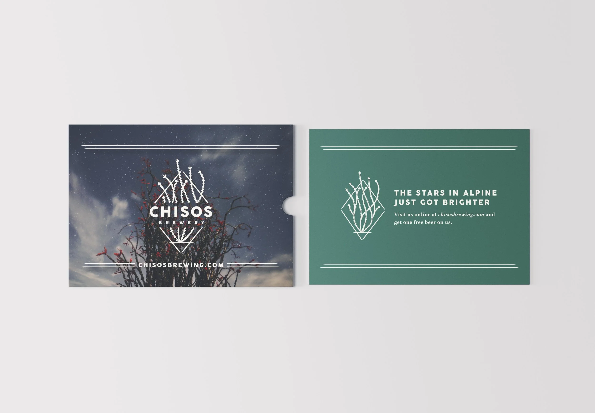 French Fox Design: Chisos Brewing, Blooming Ocotillo at Night Postcard