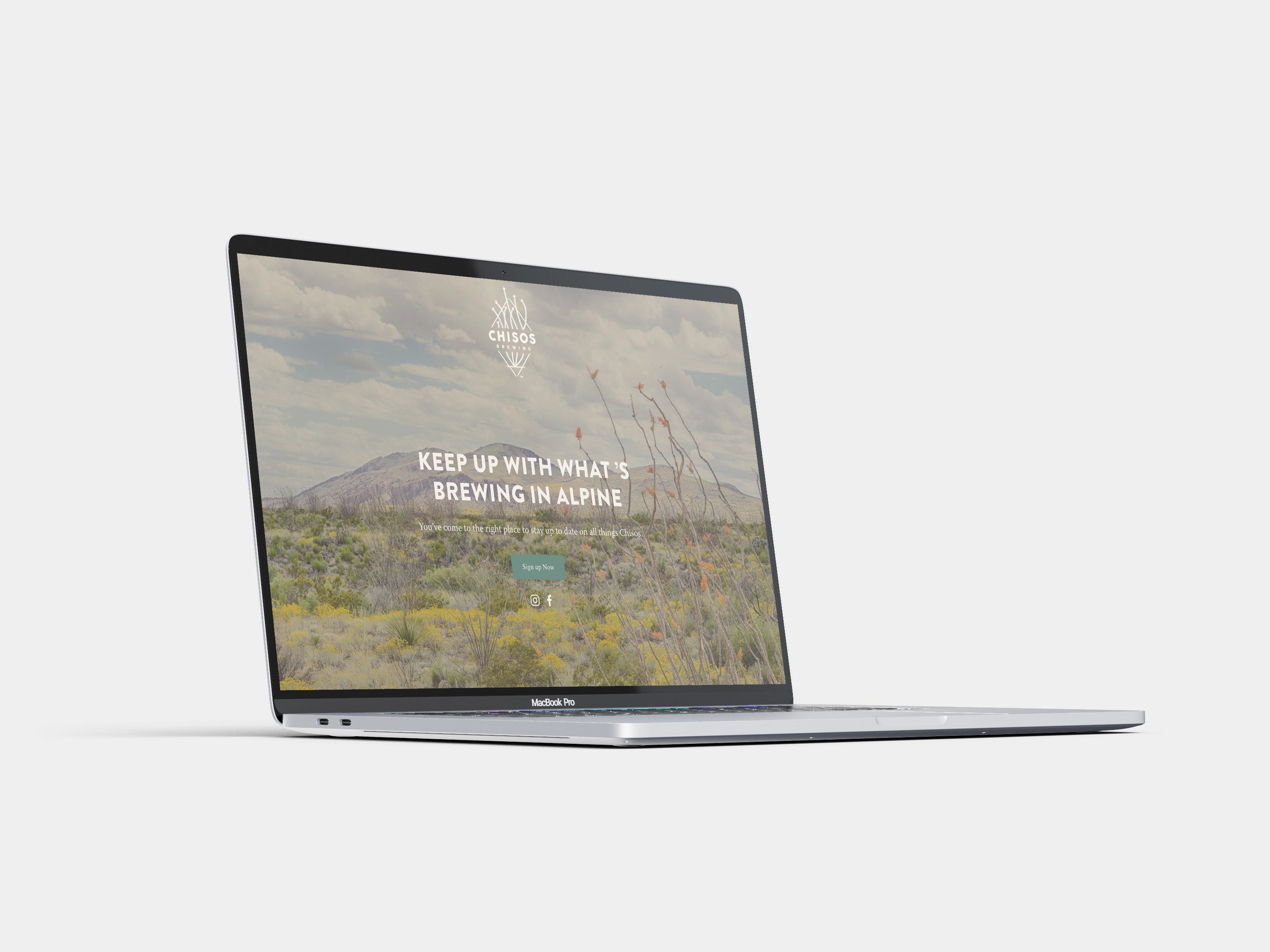 French Fox Design: Chisos Brewing, Blooming Ocotillo Desert Landscape Big Bend National Park with Logo on SquareSpace Website Landing Page