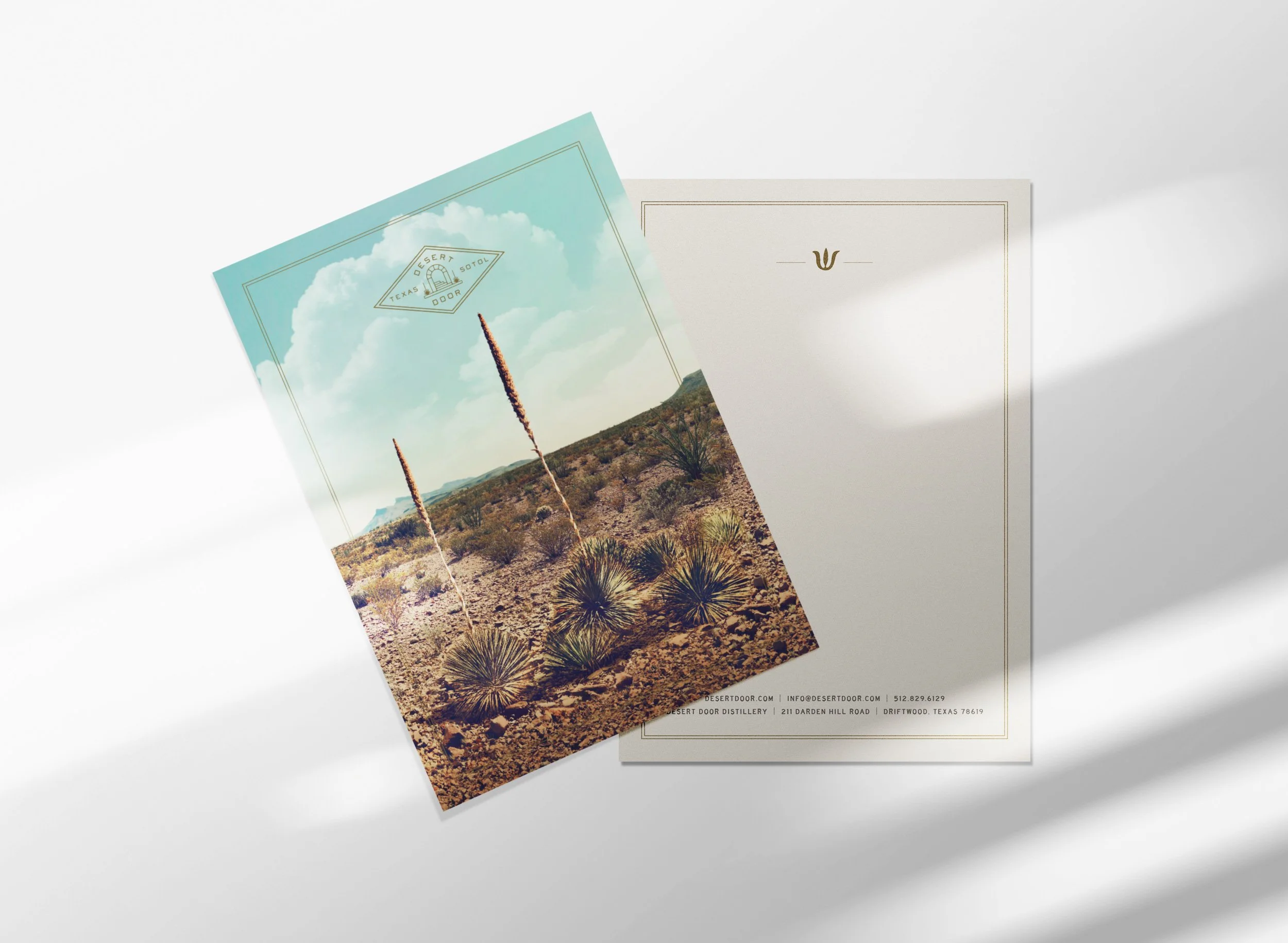 French Fox Design: Desert Door Texas Sotol, Print Design: Texas Sotol Plant Notecard