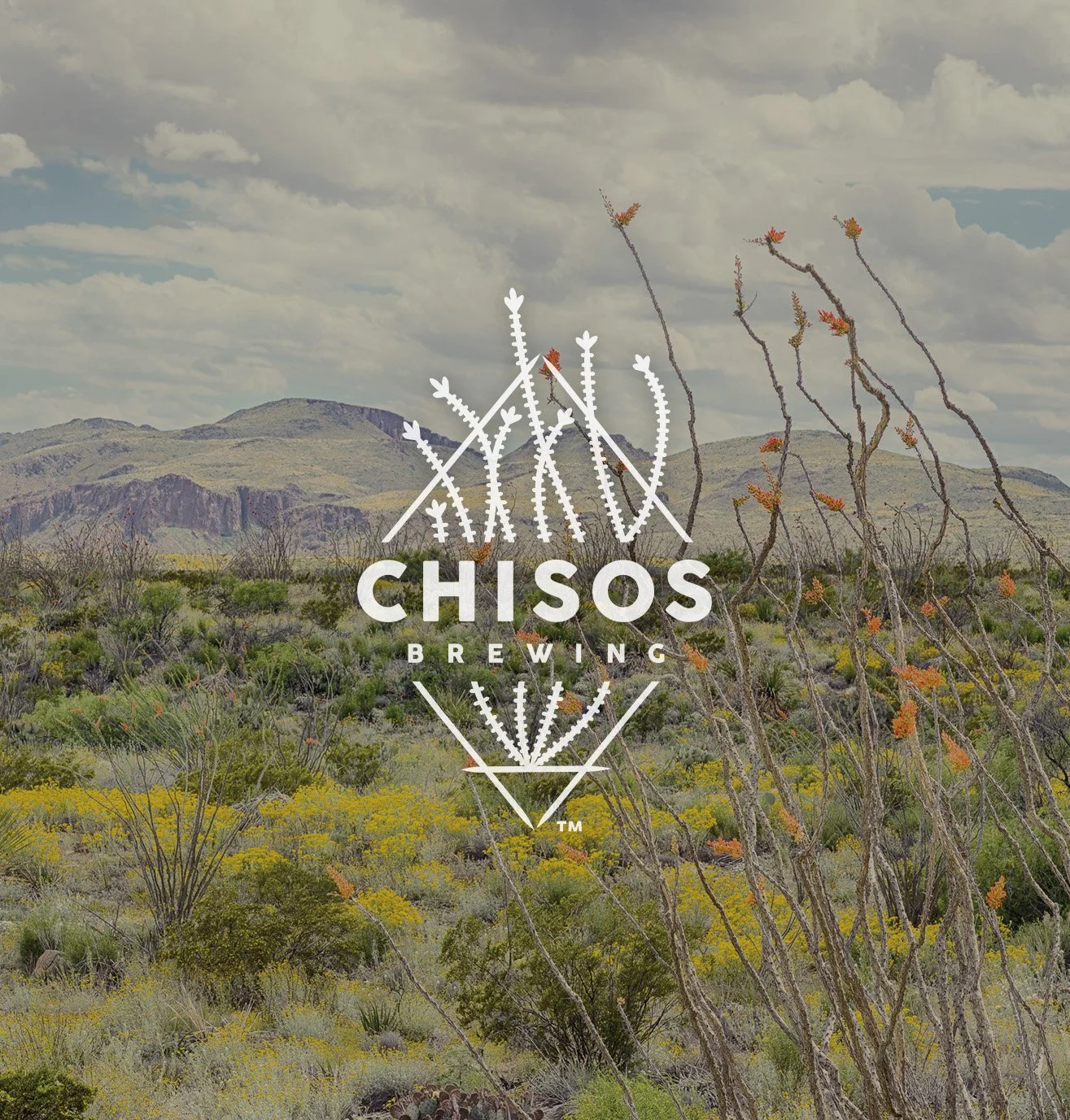 French-Fox-Design-Chisos-Brewing-4.jpg