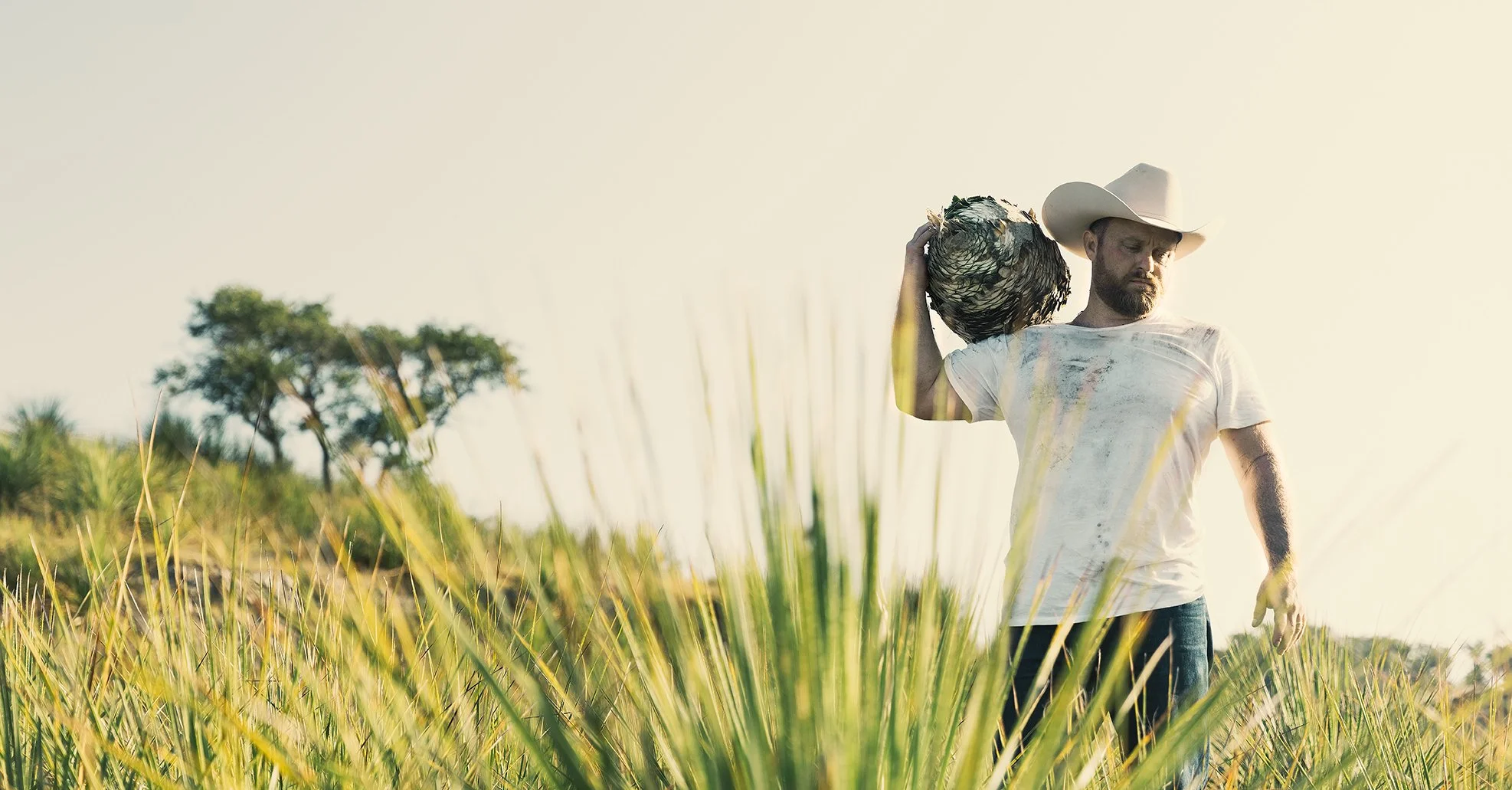 French Fox Design: Desert Door Texas Sotol, Lifestyle Photography: Man in Cowboy Hat Holding Texas Sotol Plant