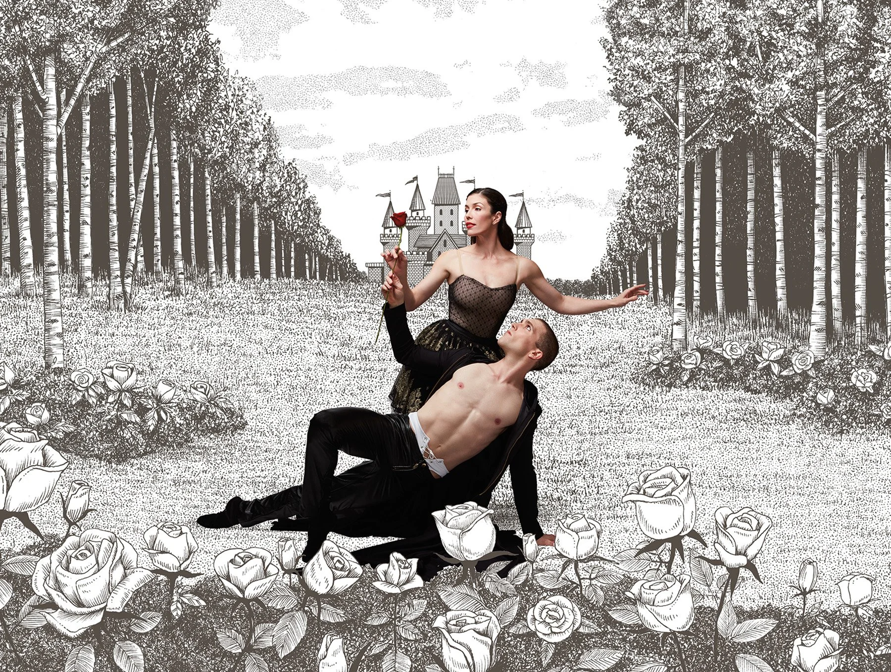 French Fox Design: Ballet Austin, 2016/17 Season Photography with Black & White Illustrations integrated with Ballerinas