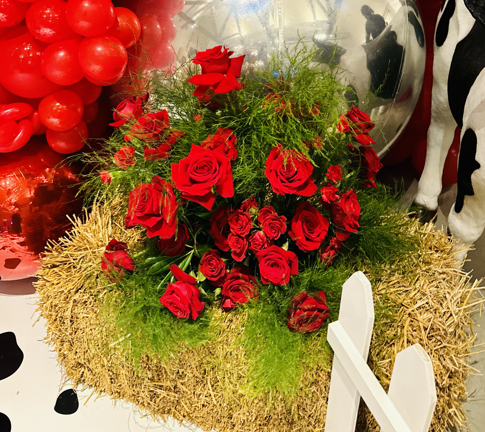 Screen Shot 2024-10-04 at 8.49.37 AM.png