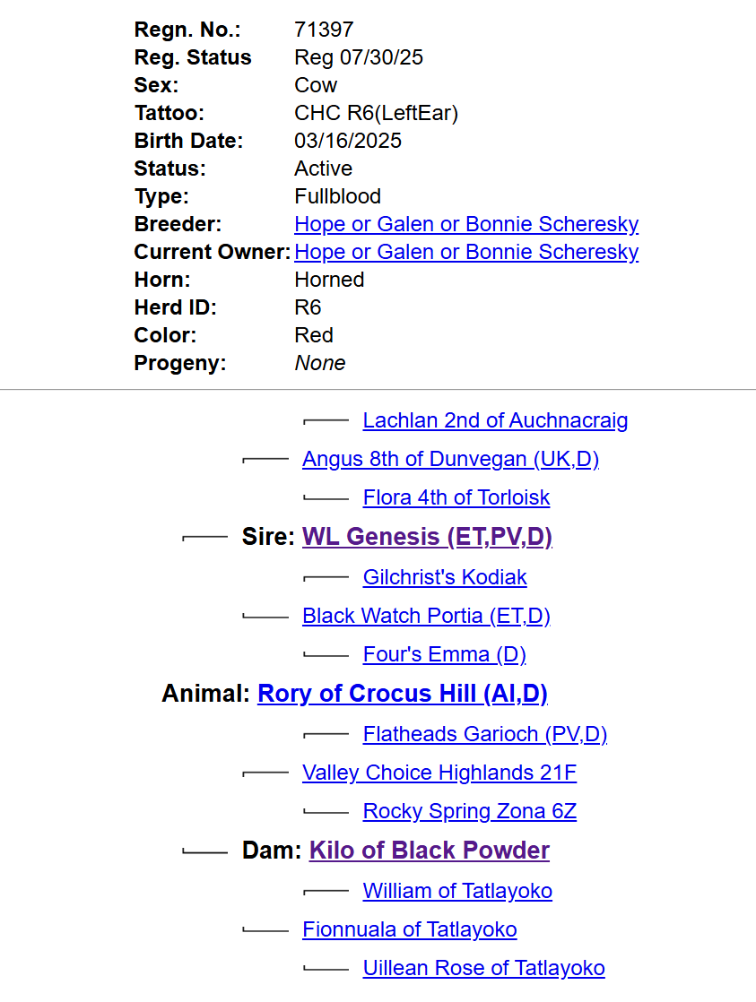 Rory - Pedigree.png