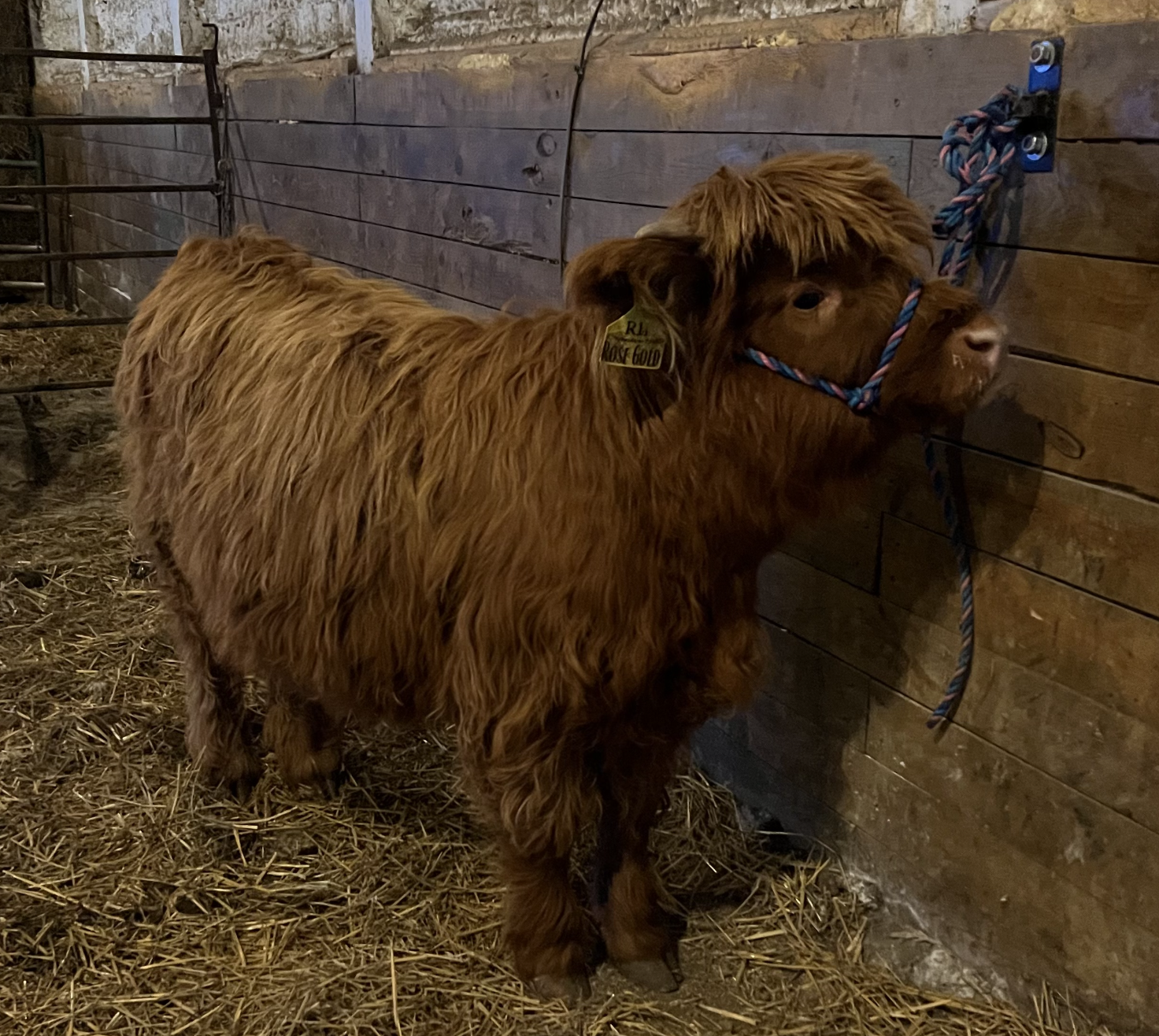 Screenshot 2025-12-08 at 8.31.59 PM.png