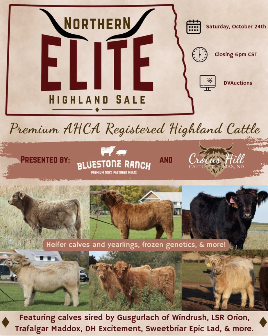 Click to View the Entire Catalog!
