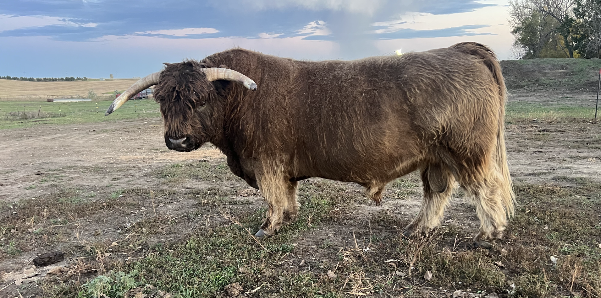 Screenshot 2025-12-08 at 8.44.39 PM.png