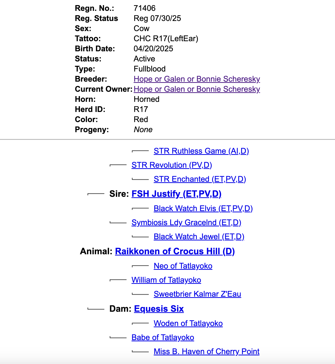 Screenshot 2025-12-28 at 8.47.41 PM.png