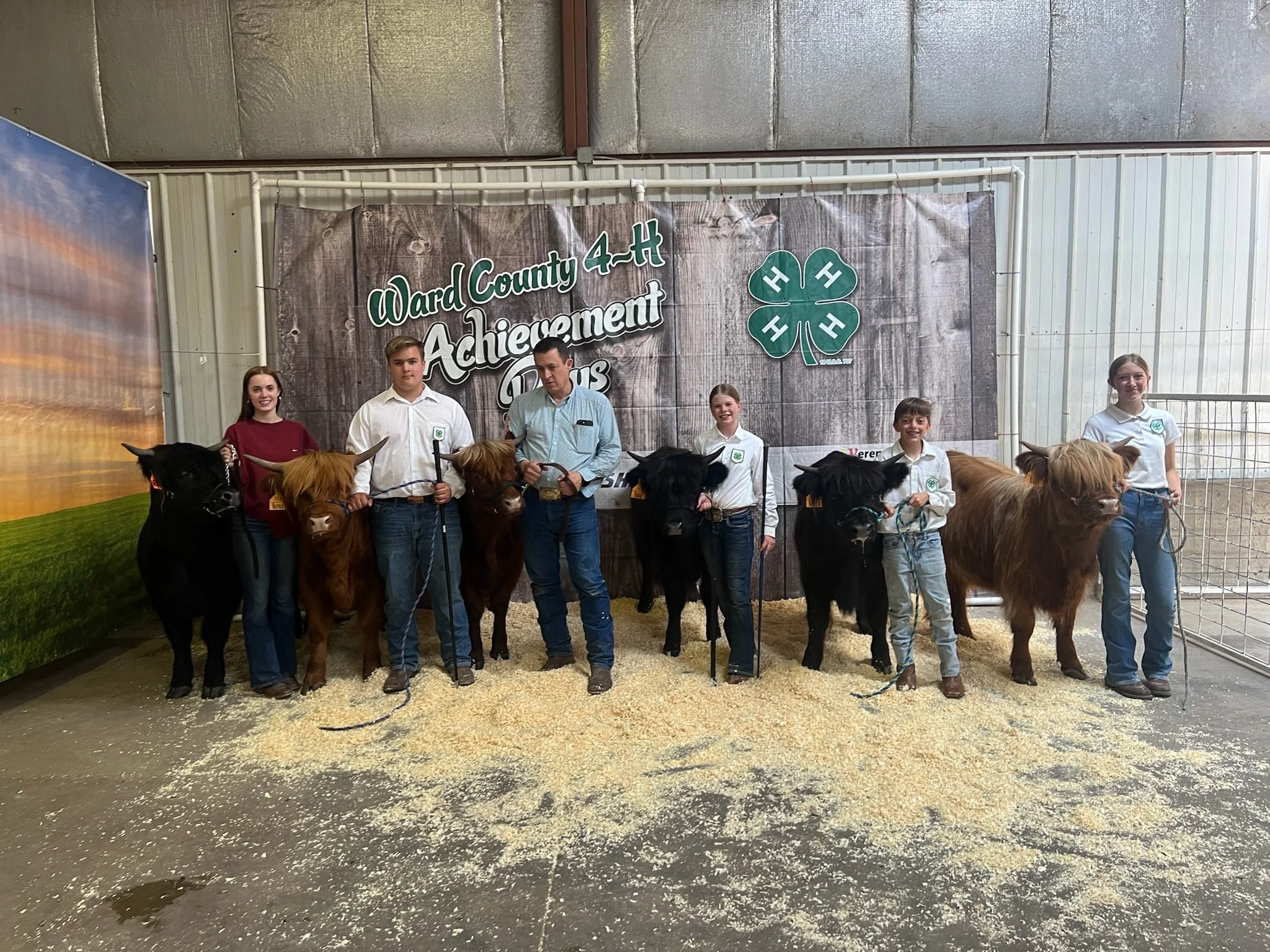 yearlings show.JPG