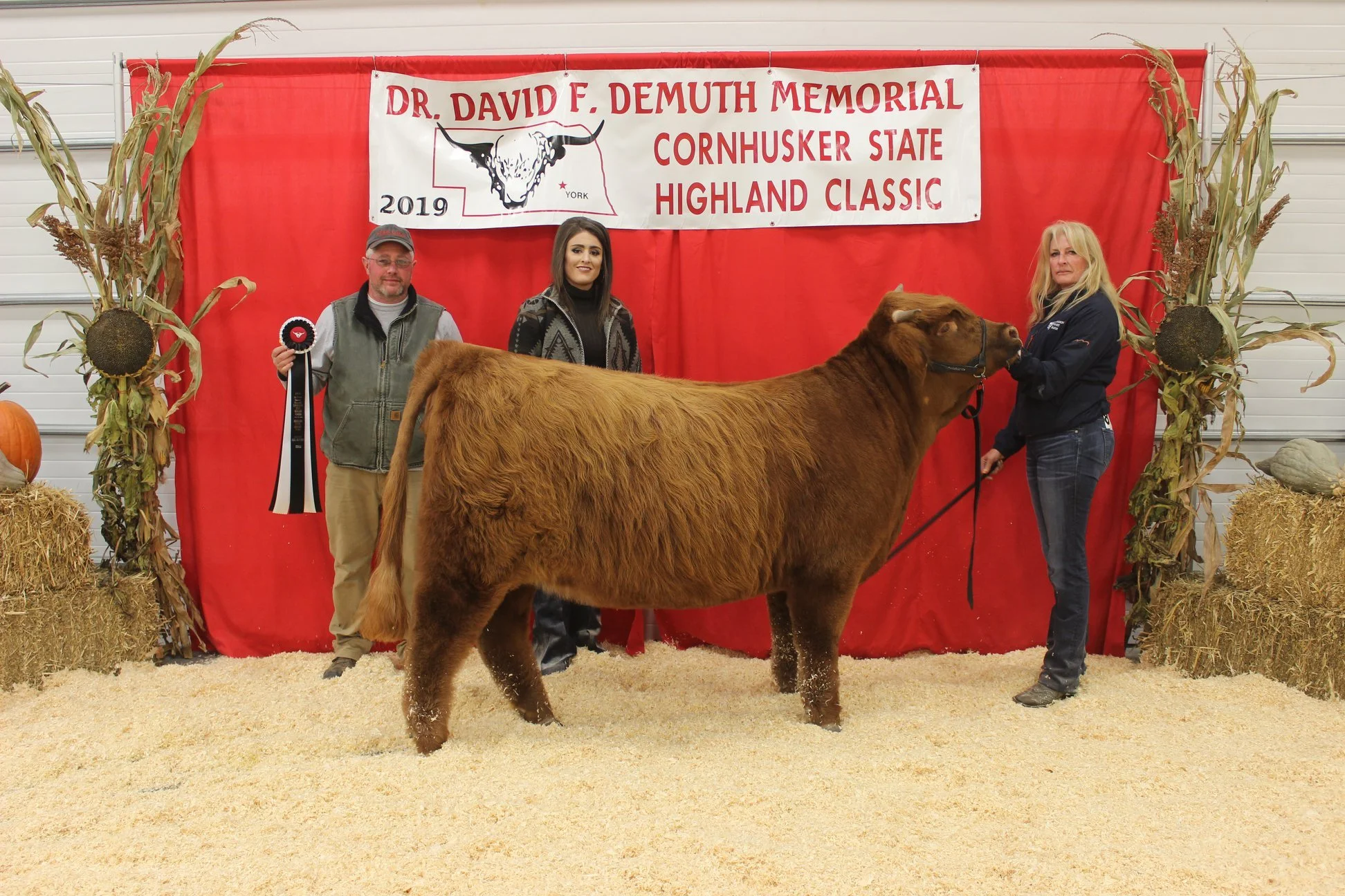 Dam - Trafalgar Gwen - 57835