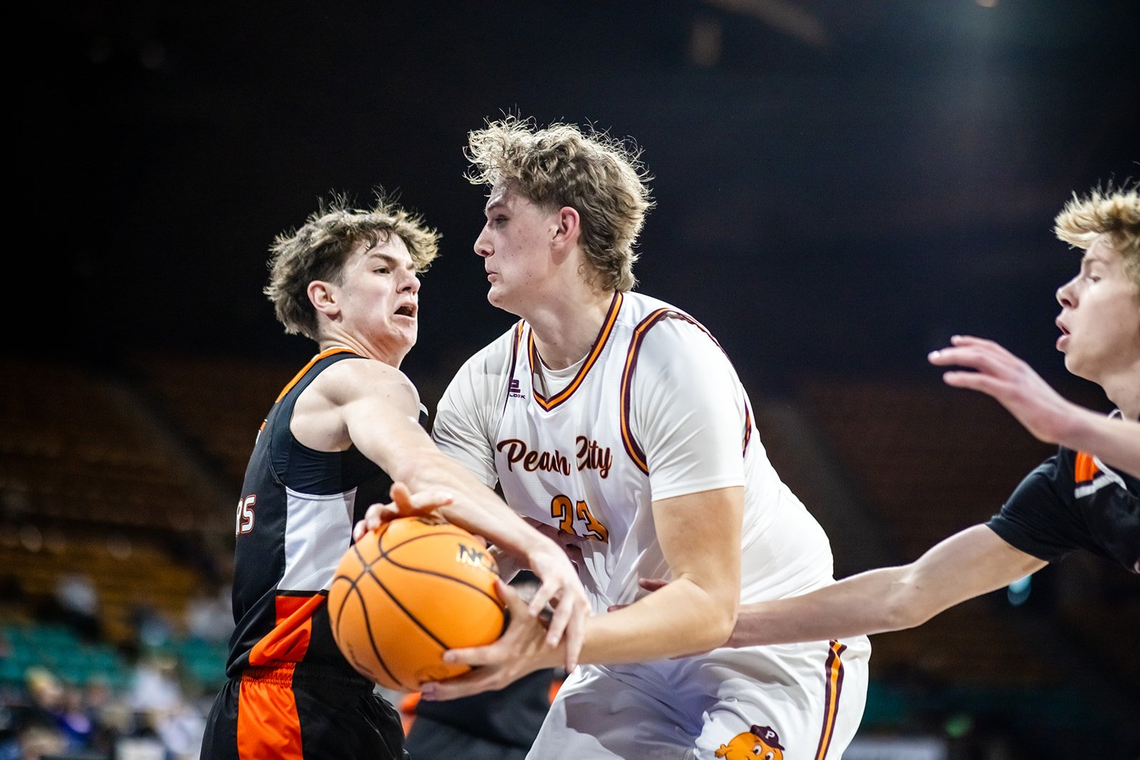 Palisade vs Lewis-Palmer basketball playoffs Denver Coliseum