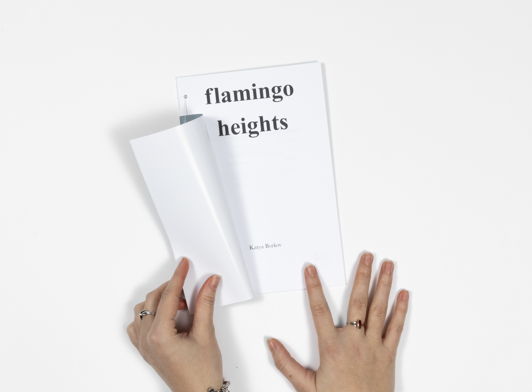 Screenshot 2026-02-13 at 10.21.46 AM.png