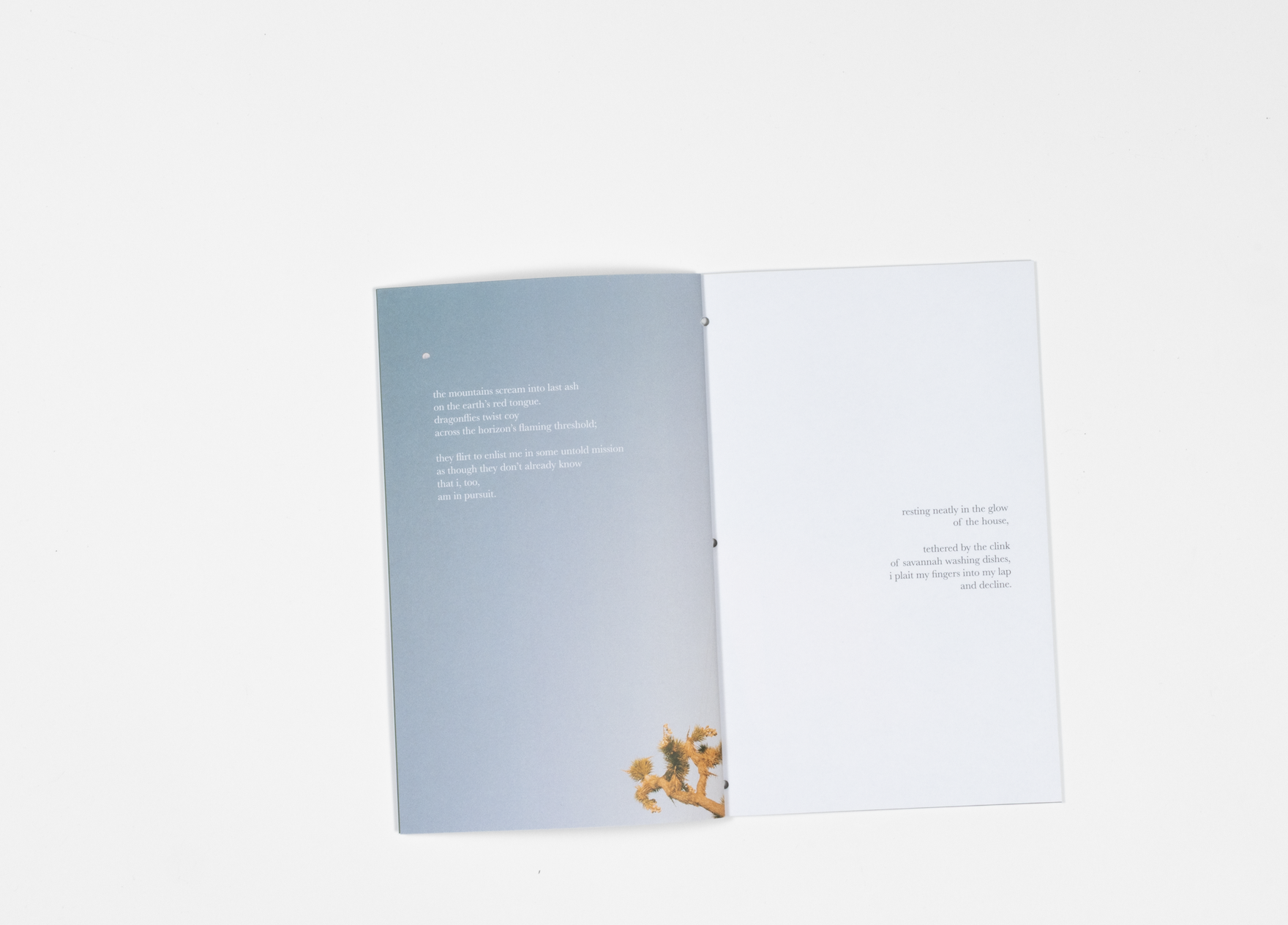 Screenshot 2026-02-13 at 10.21.51 AM.png