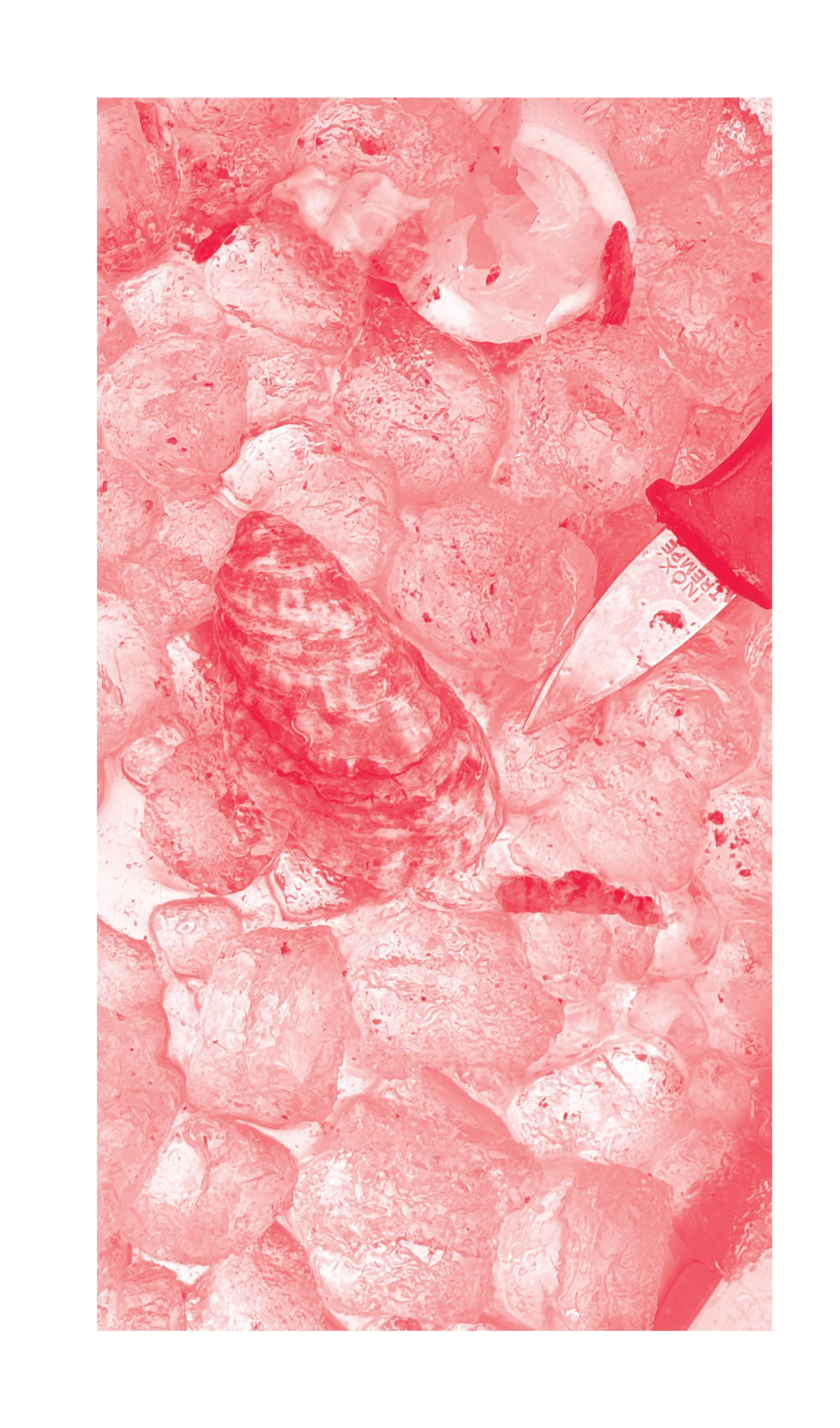 Pages from Starters_Season02_FINAL_Page_2.jpg