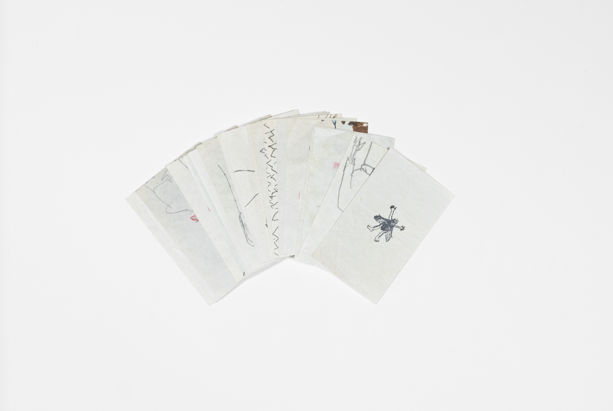 Screenshot 2026-02-13 at 10.13.57 AM.png