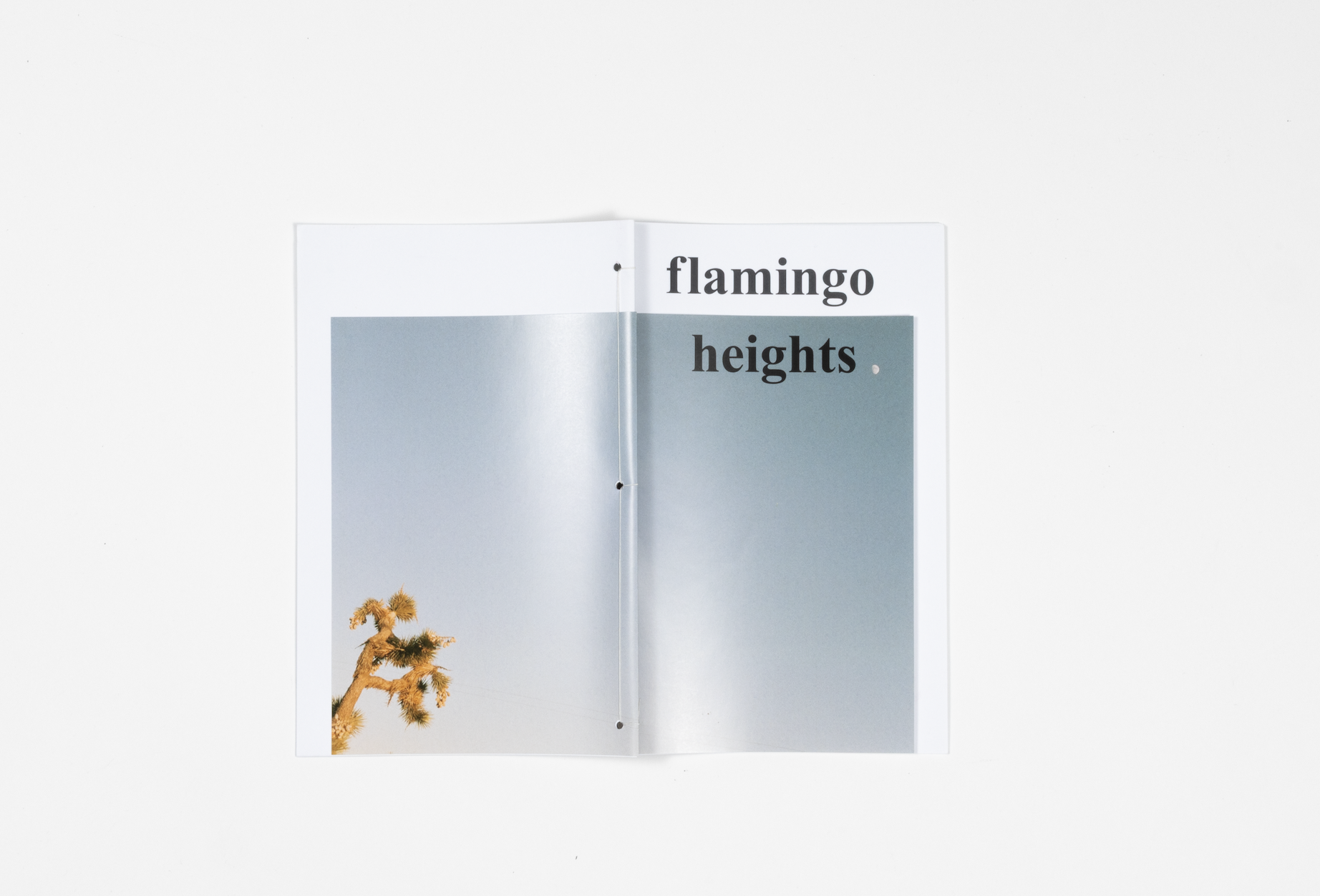 Screenshot 2026-02-13 at 10.00.53 AM.png