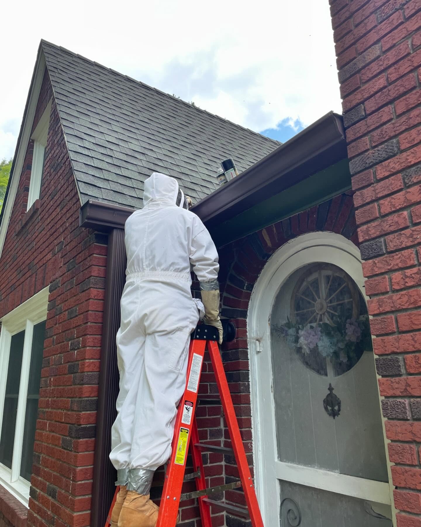One of our techs helping get rid of wasps that made a nest under a gap in some old fascia board.