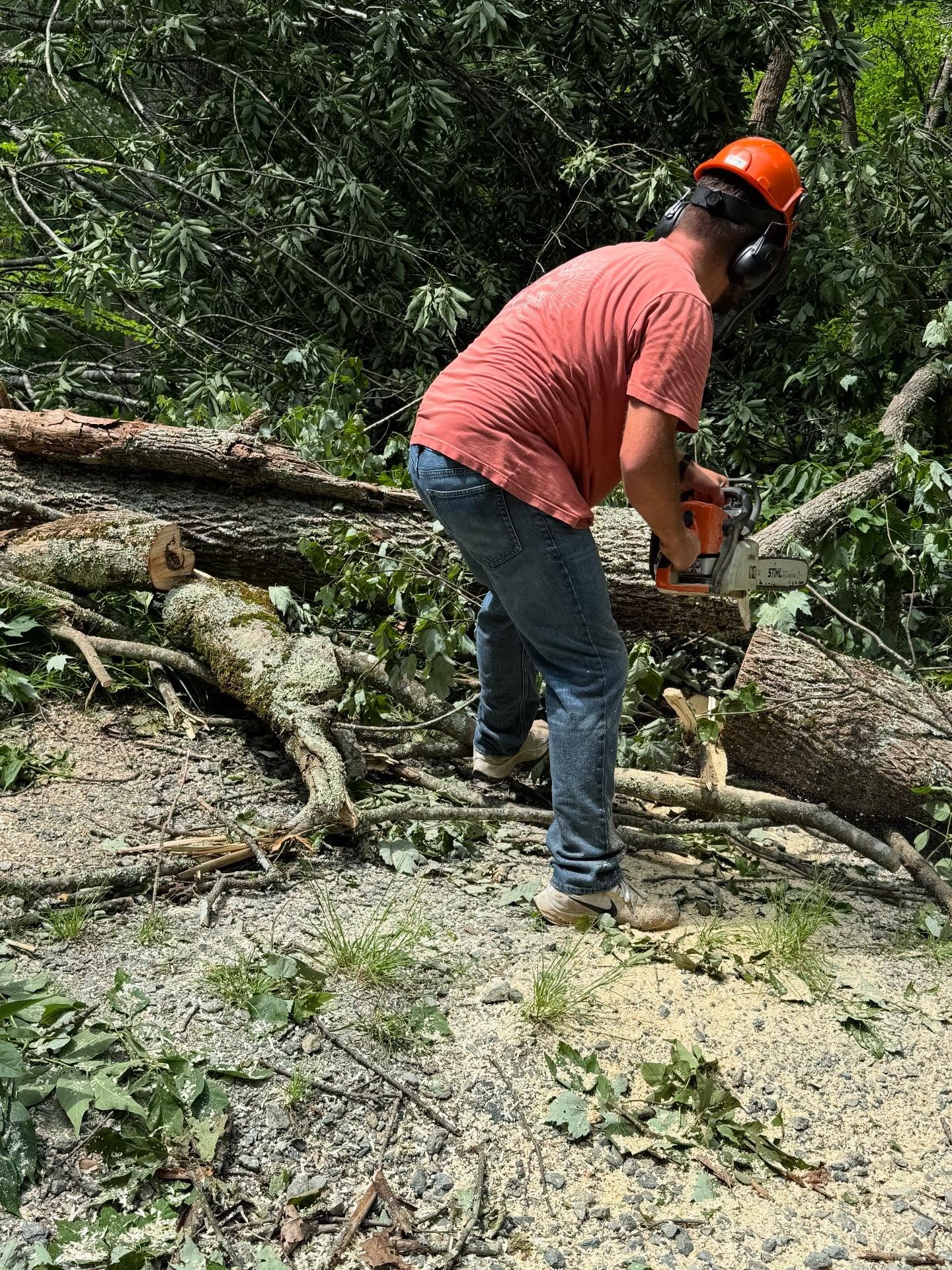 Here is one of our Techs doing some chainsaw work to help clear a driveway after a rough summer storm. (In Boone, NC)