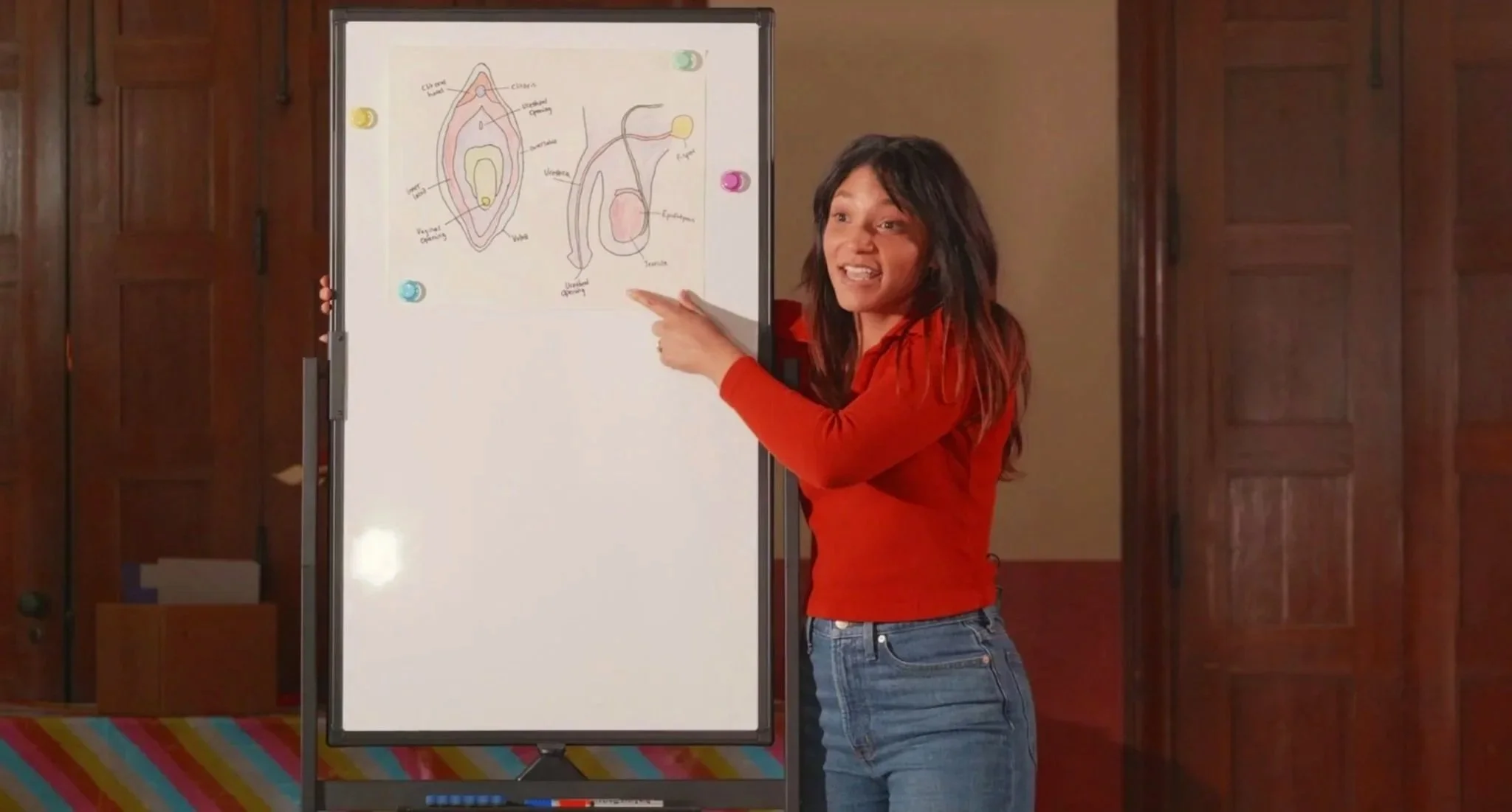 Woman in red shirt pointing at a whiteboard with diagrams of the male and female reproductive systems.