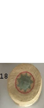 18 Makah lidded basket 1in by 2in 1950.jpg