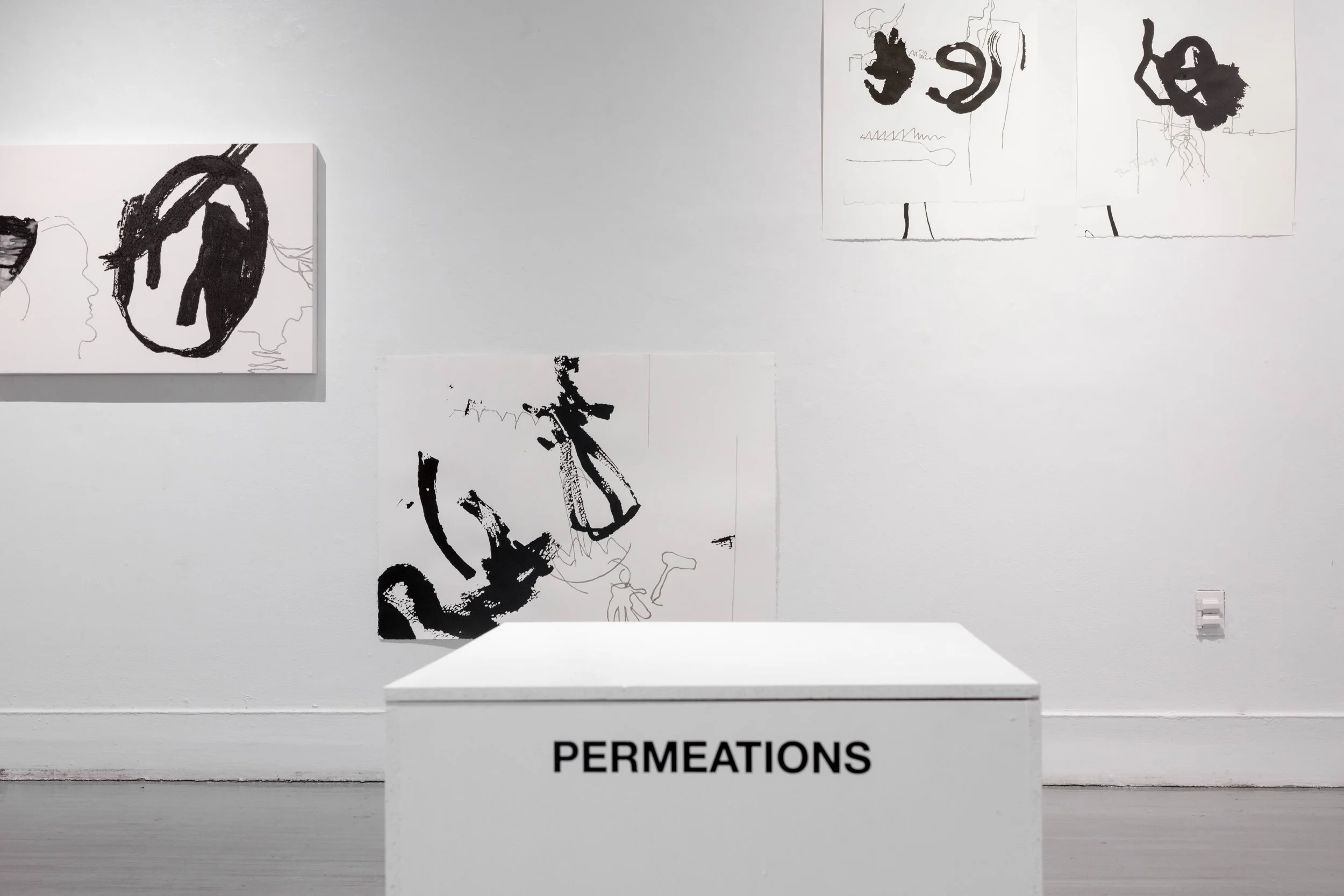 7. Permeations.BingemanC-20 copy.jpg