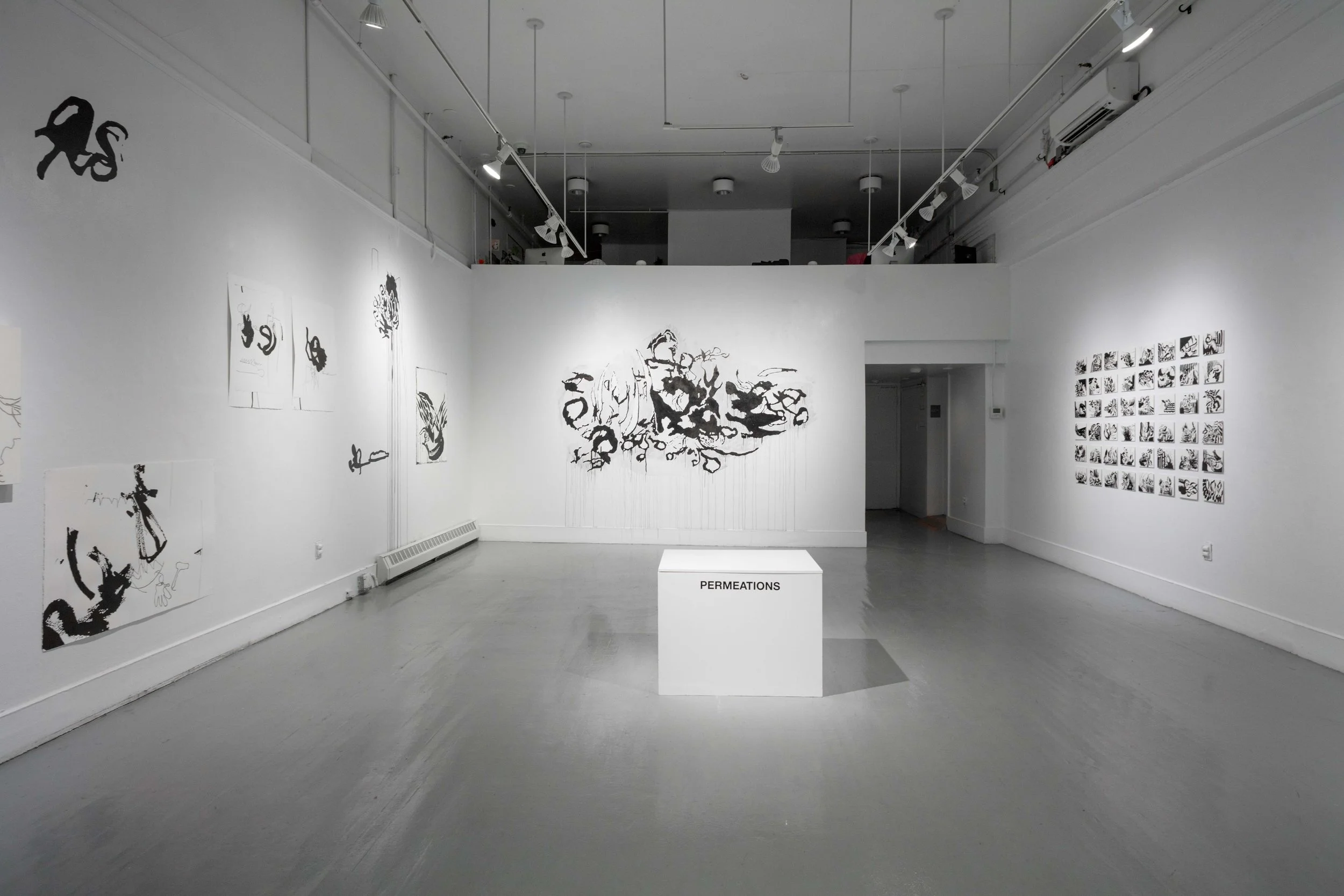 1. Permeations.BingemanC-2 copy.jpg