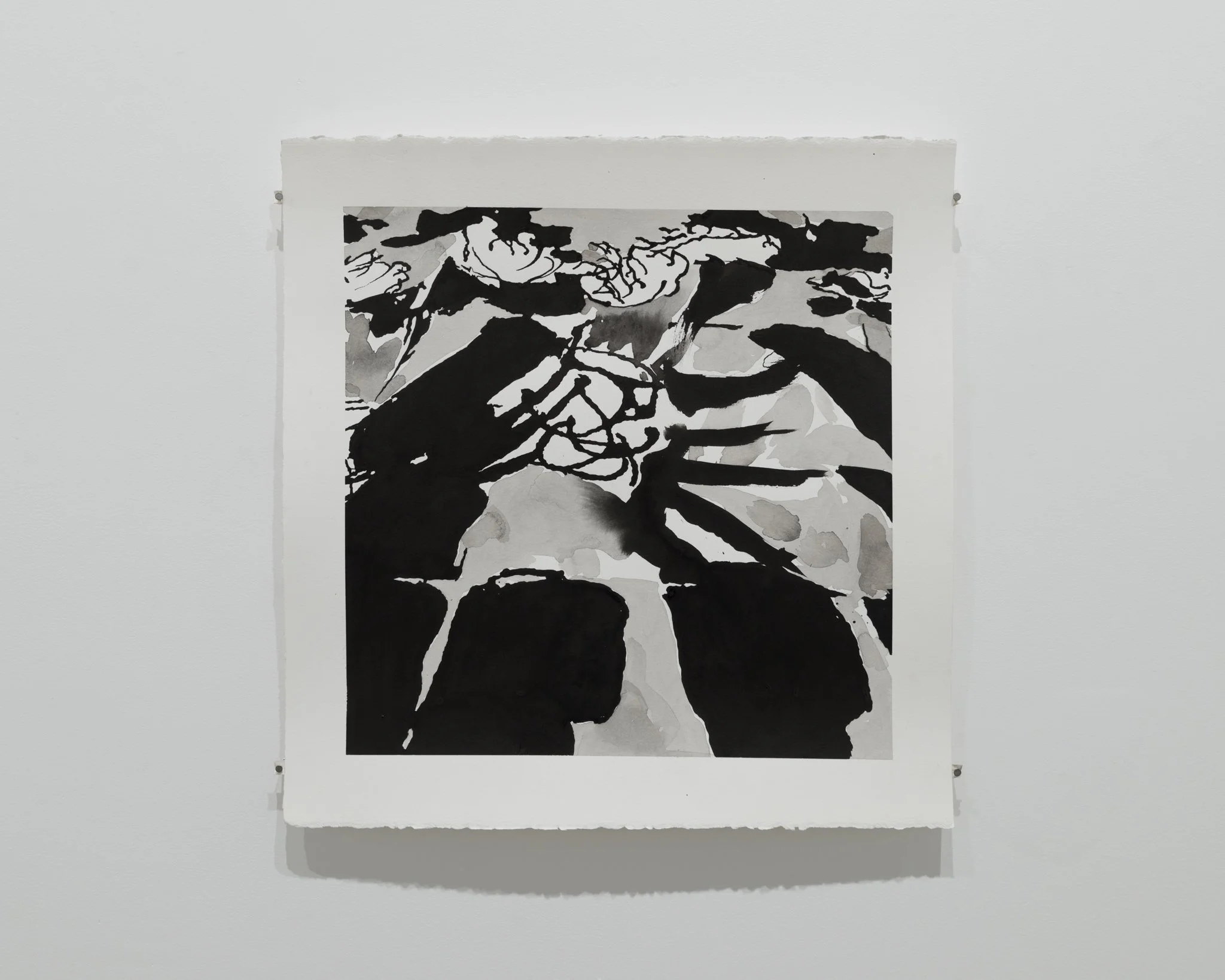 Decidedly Abyssal 2025 - 226 Main Street  