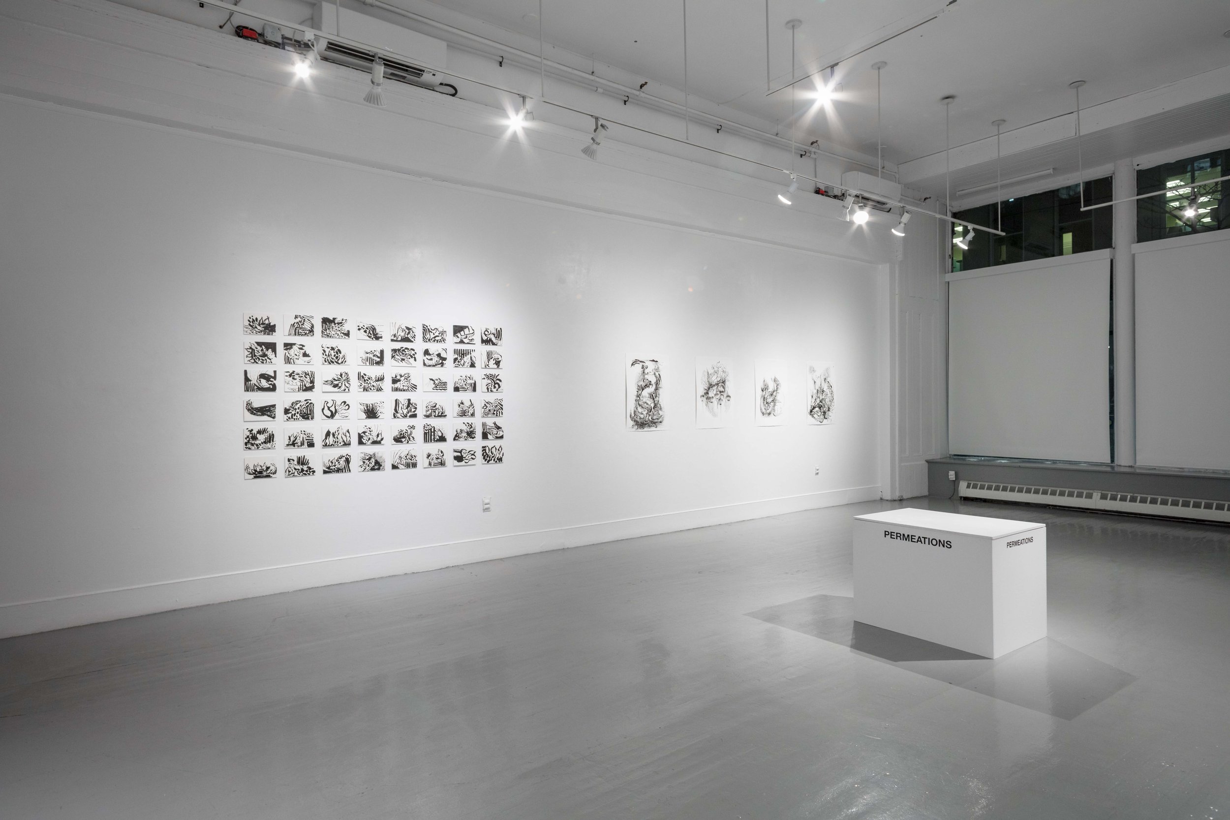 2. Permeations.BingemanC-7 copy 2.jpg