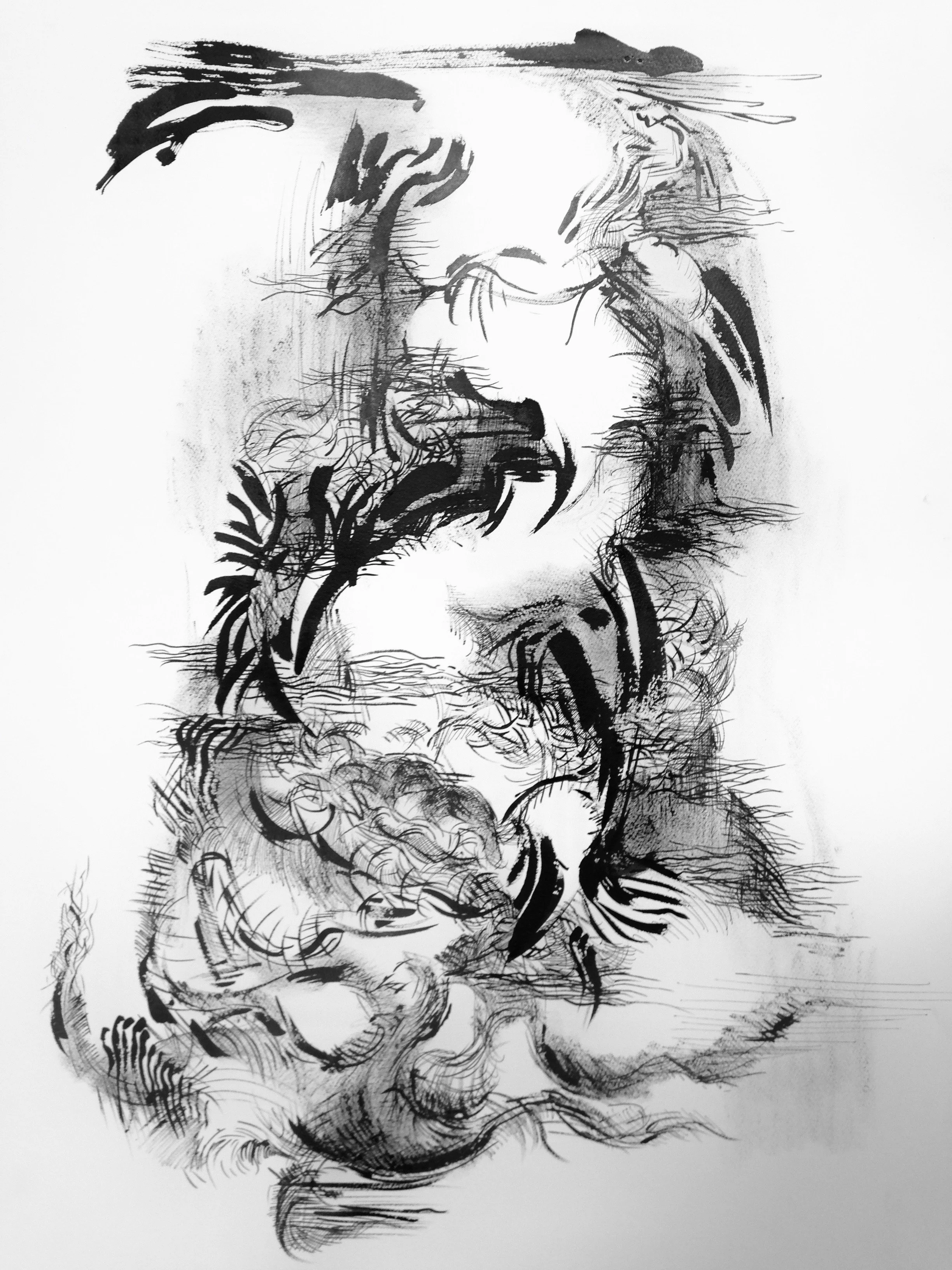 "No Title", India Ink 24" X  18"