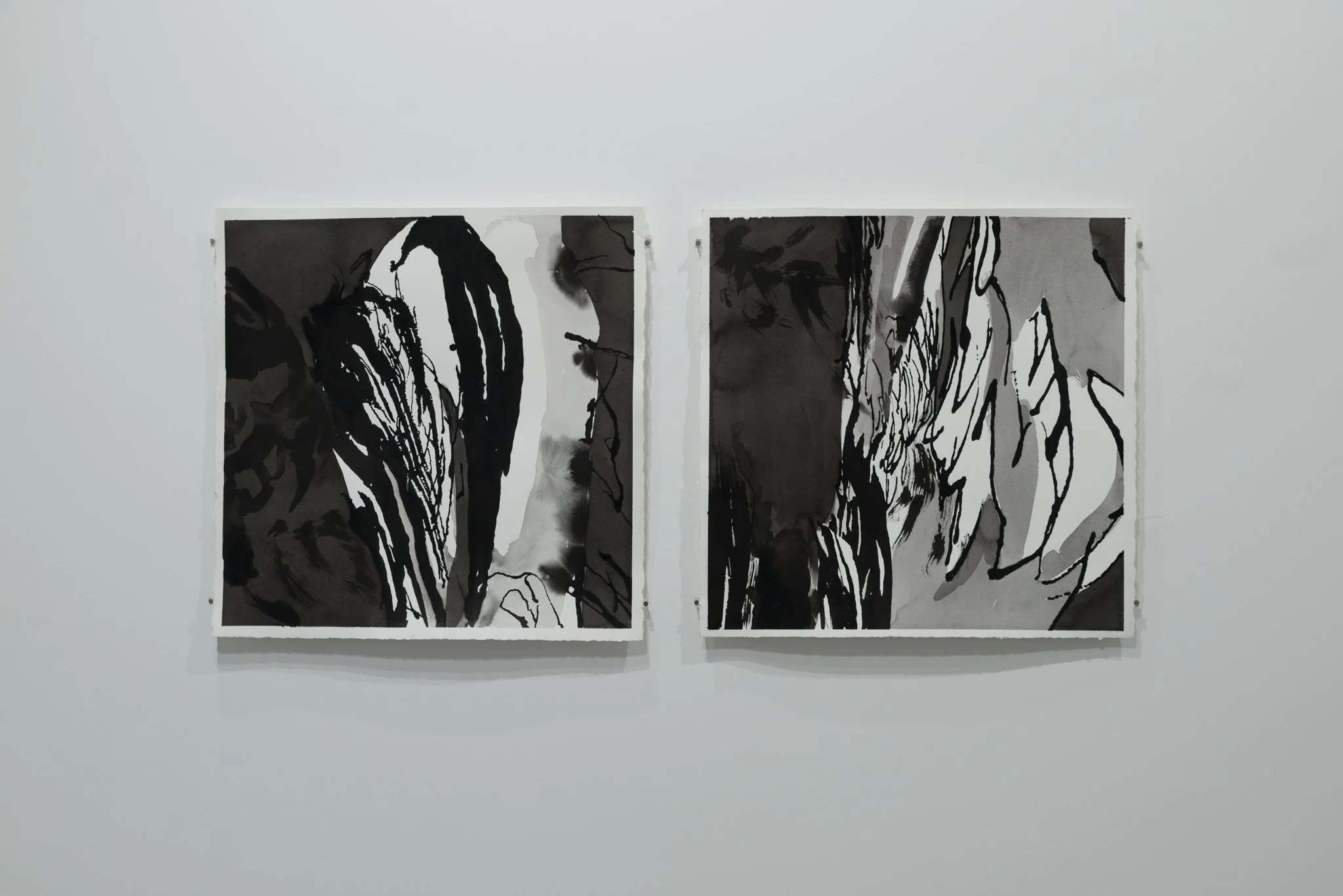 Decidedly Abyssal 2025 - 226 Main Street  