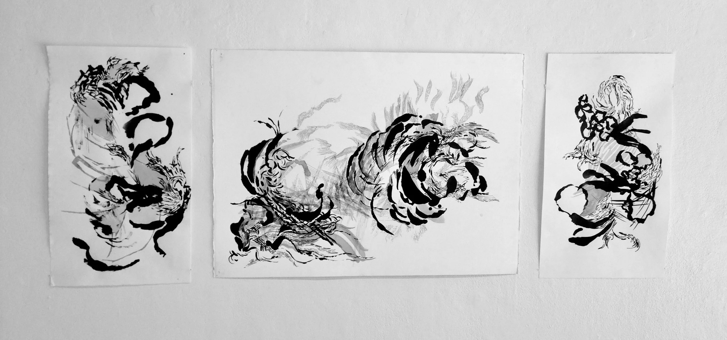 "No Title", India Ink 18" X  44"