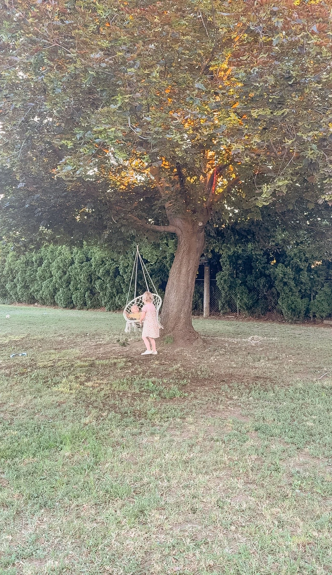 IMG_5204.jpeg