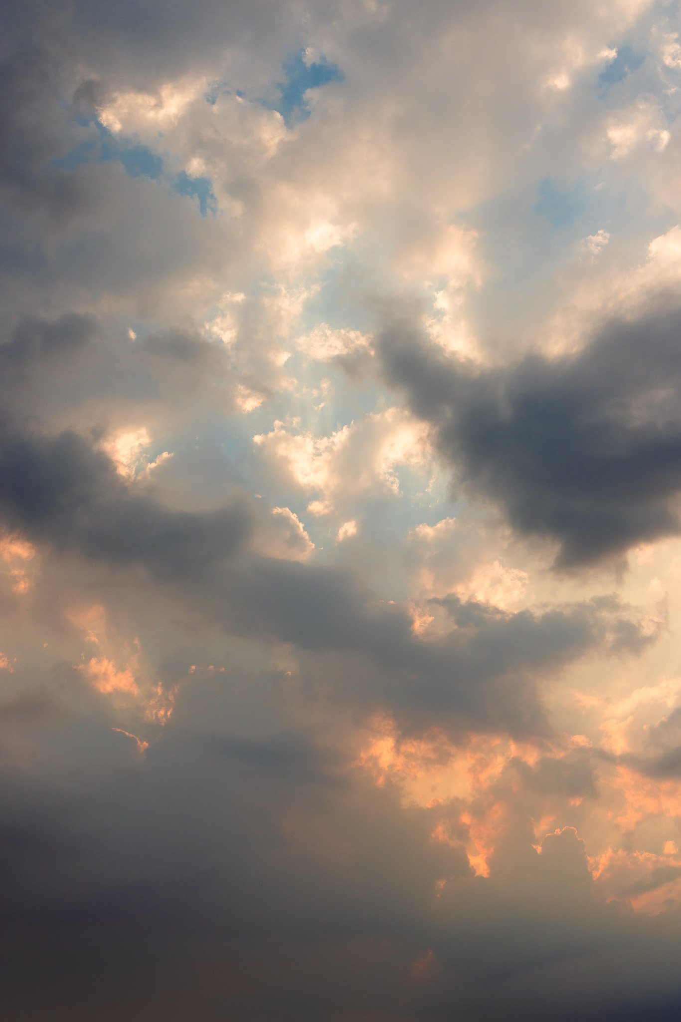 f/8  |  1/125  |  47mm