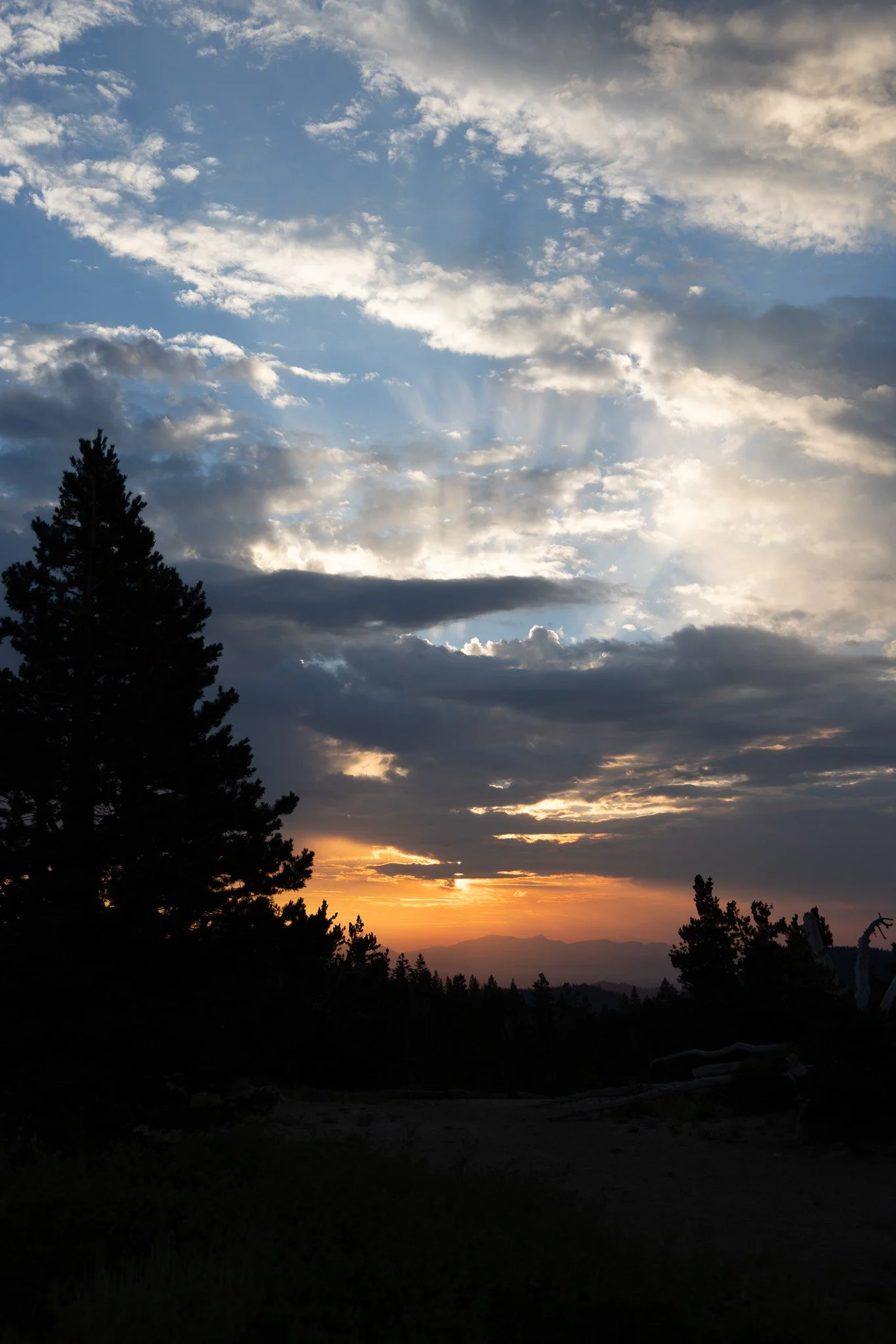 f/4  |  1/250  |  40mm