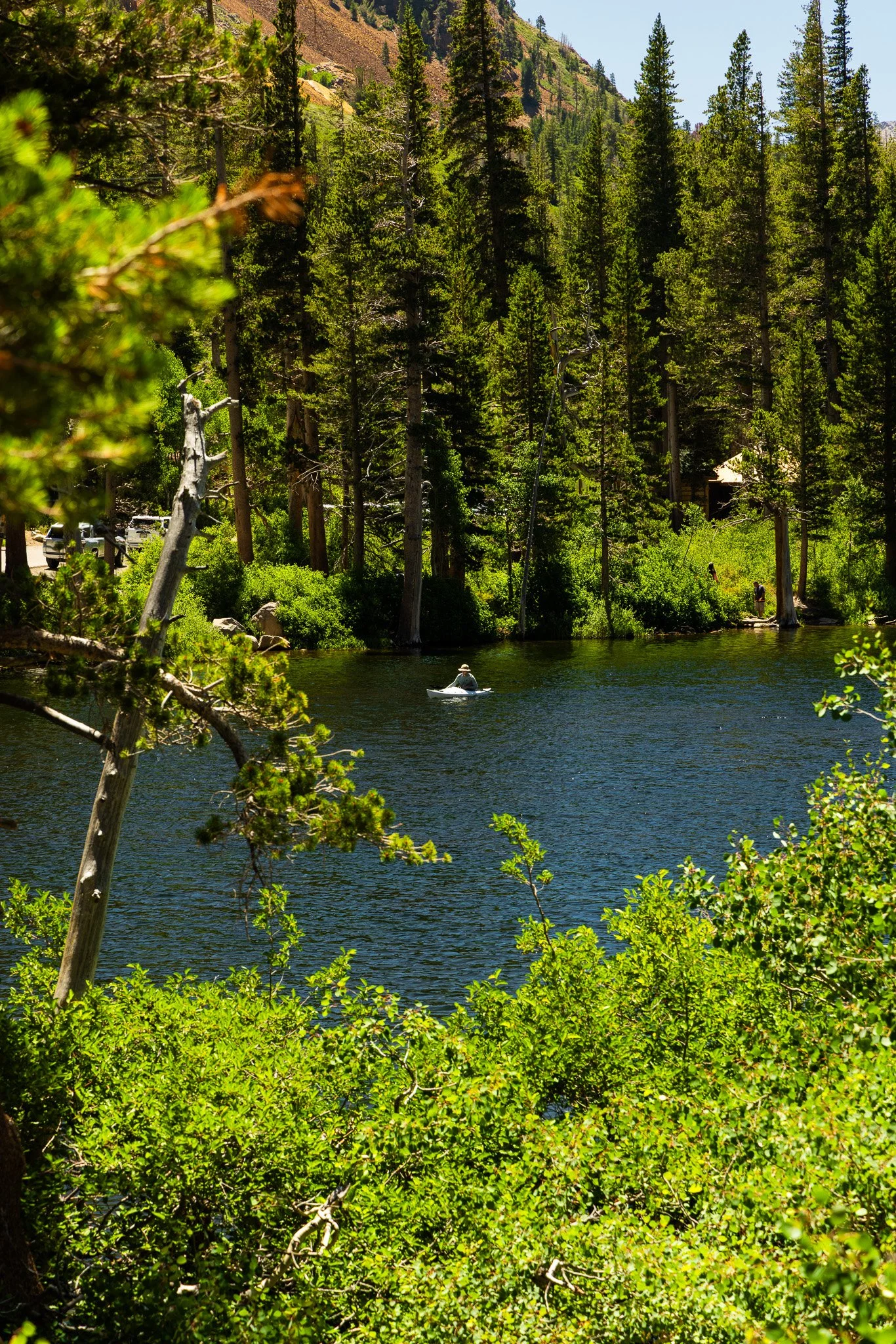 f/8  |  1/160  |  105mm